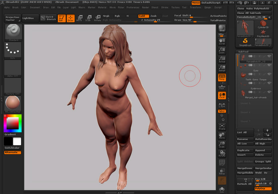 Female_Anatomy_09.jpg