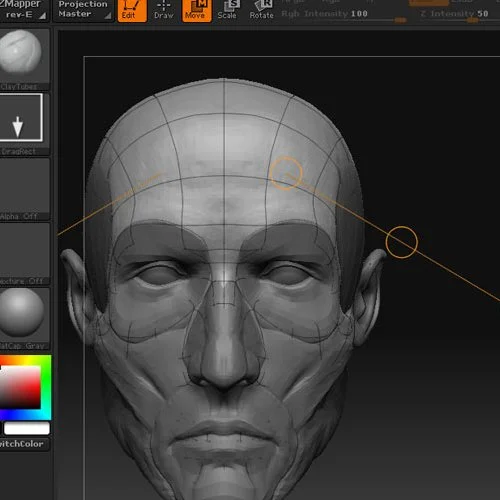 ANATOMY LECTURE SKULL & FACE VIDEO — STORYMOLD