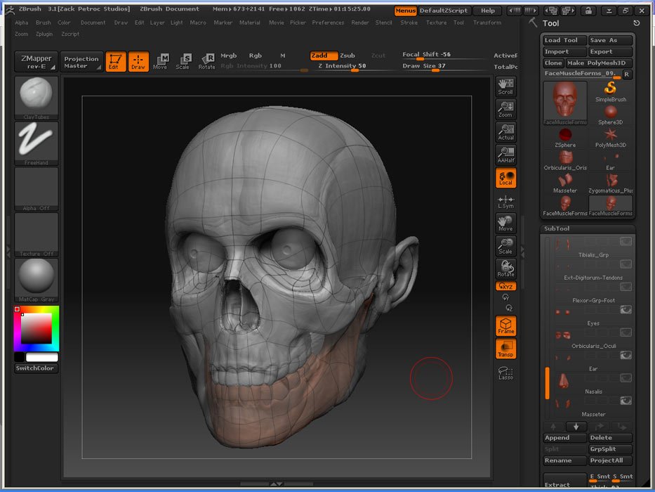 SkullMuscles_01.jpg