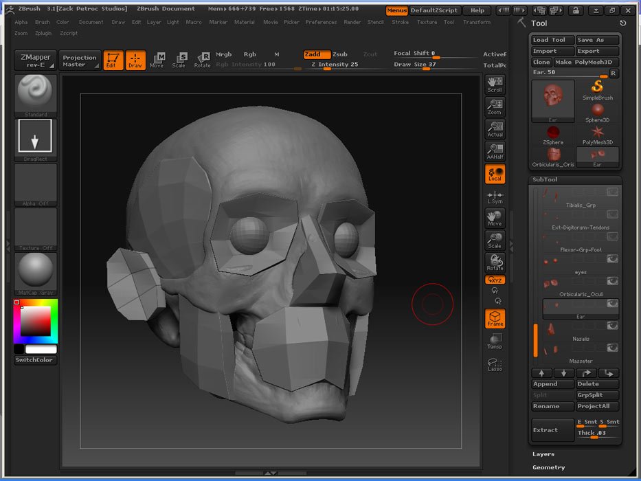 SkullMuscles_04.jpg