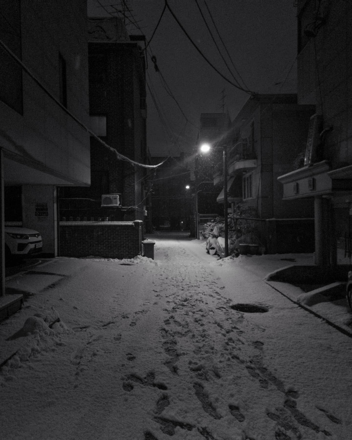 And the snow arrived as promised:) Seoul first snow.
