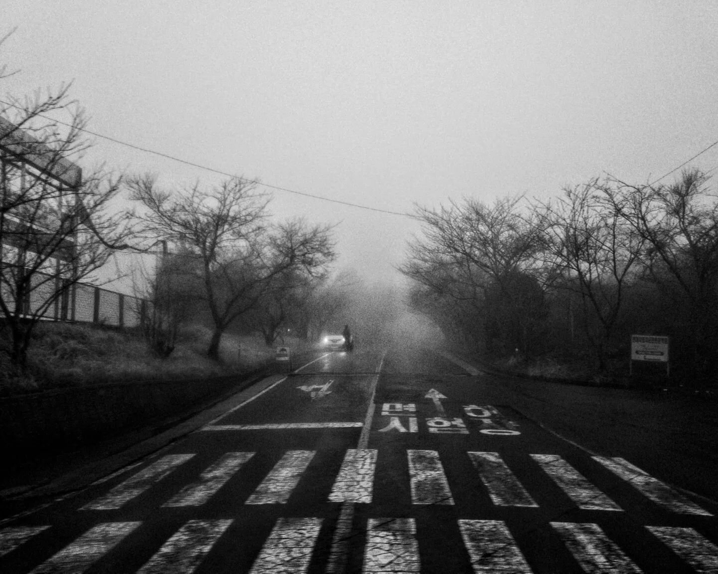 Riding into the dark, Jeju.