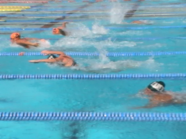 swimming 2.jpg