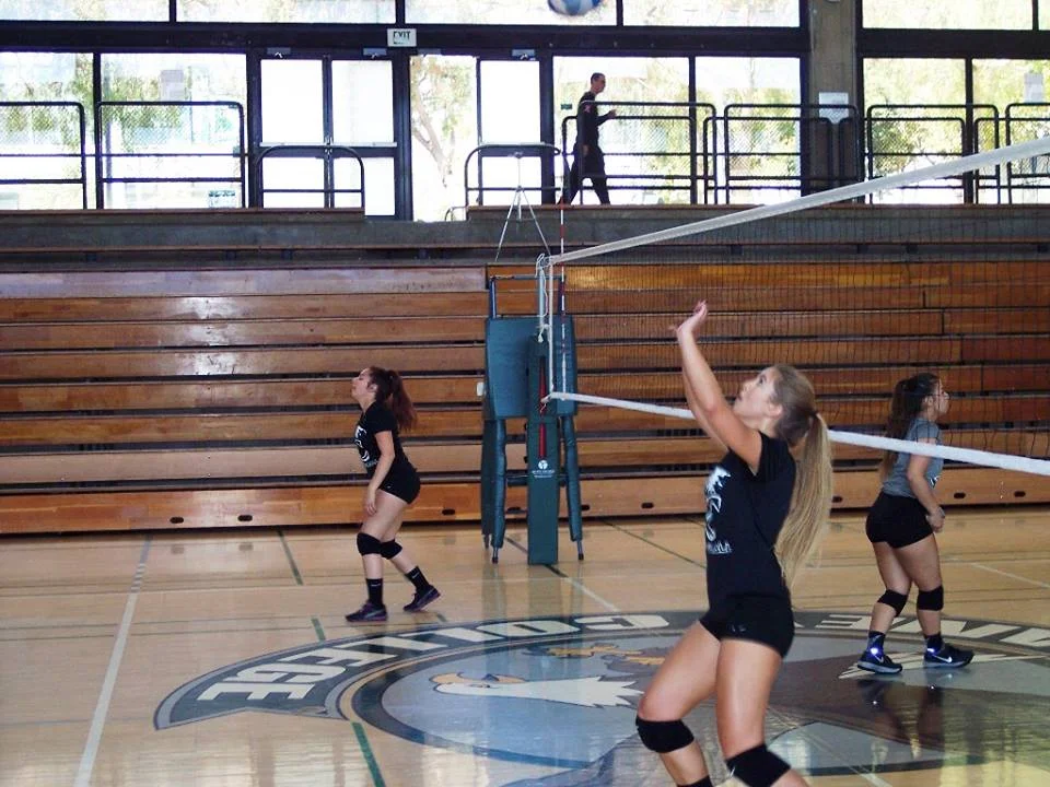 Laney Volleyball Media — Laney Athletics