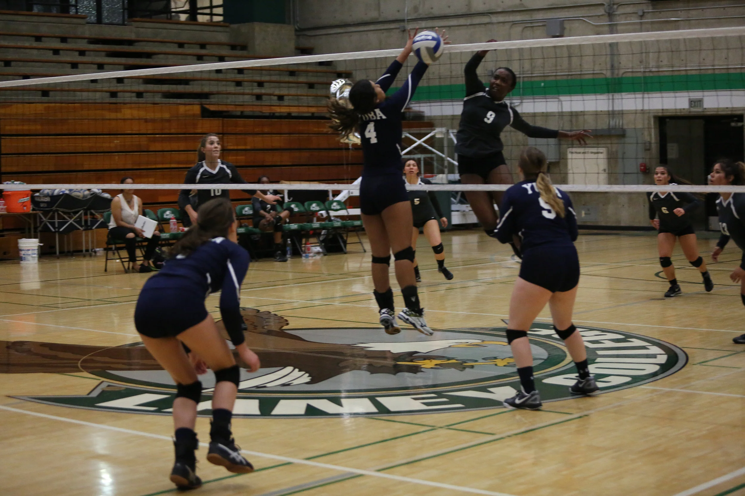 Laney Volleyball Media — Laney Athletics