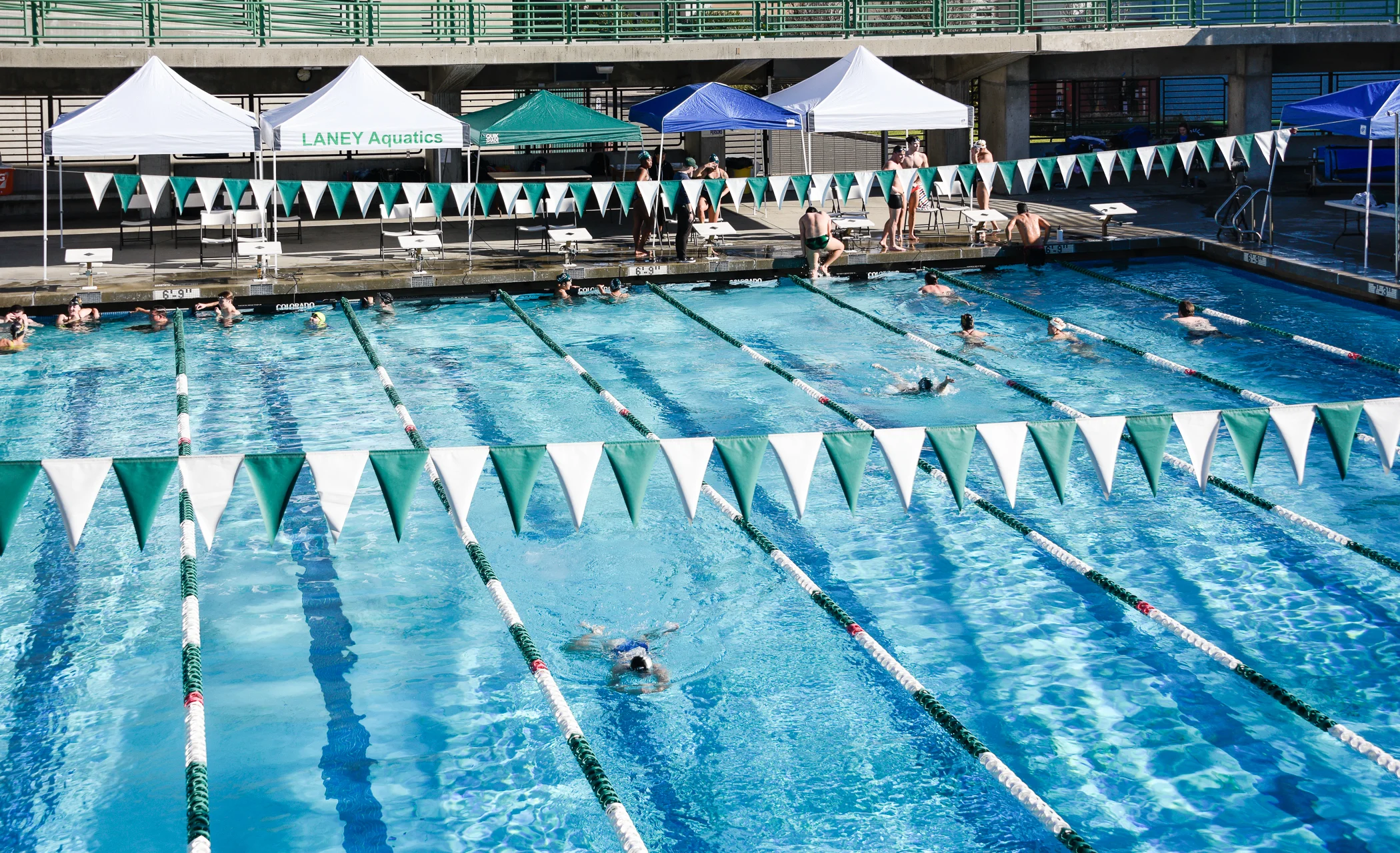 180209SABradleySwimMeet-2159.jpg