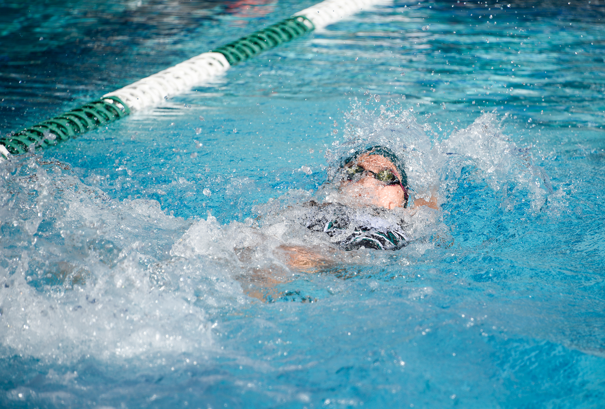 Laney Swimming & Diving Home — Laney Athletics