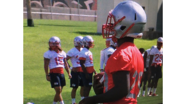 Ahmari Davis is Good, Young Talent for Lobo Football