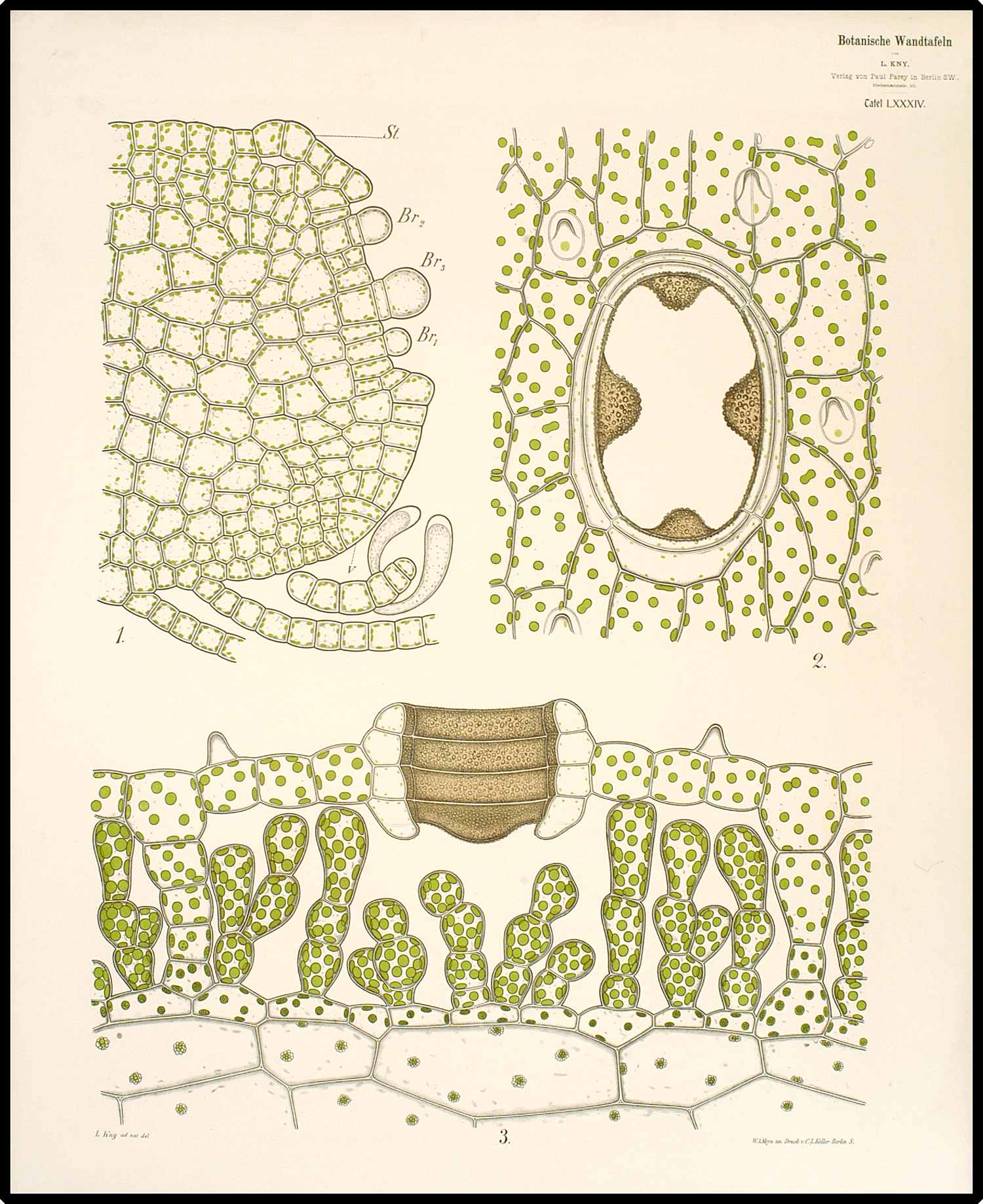 Air chamber