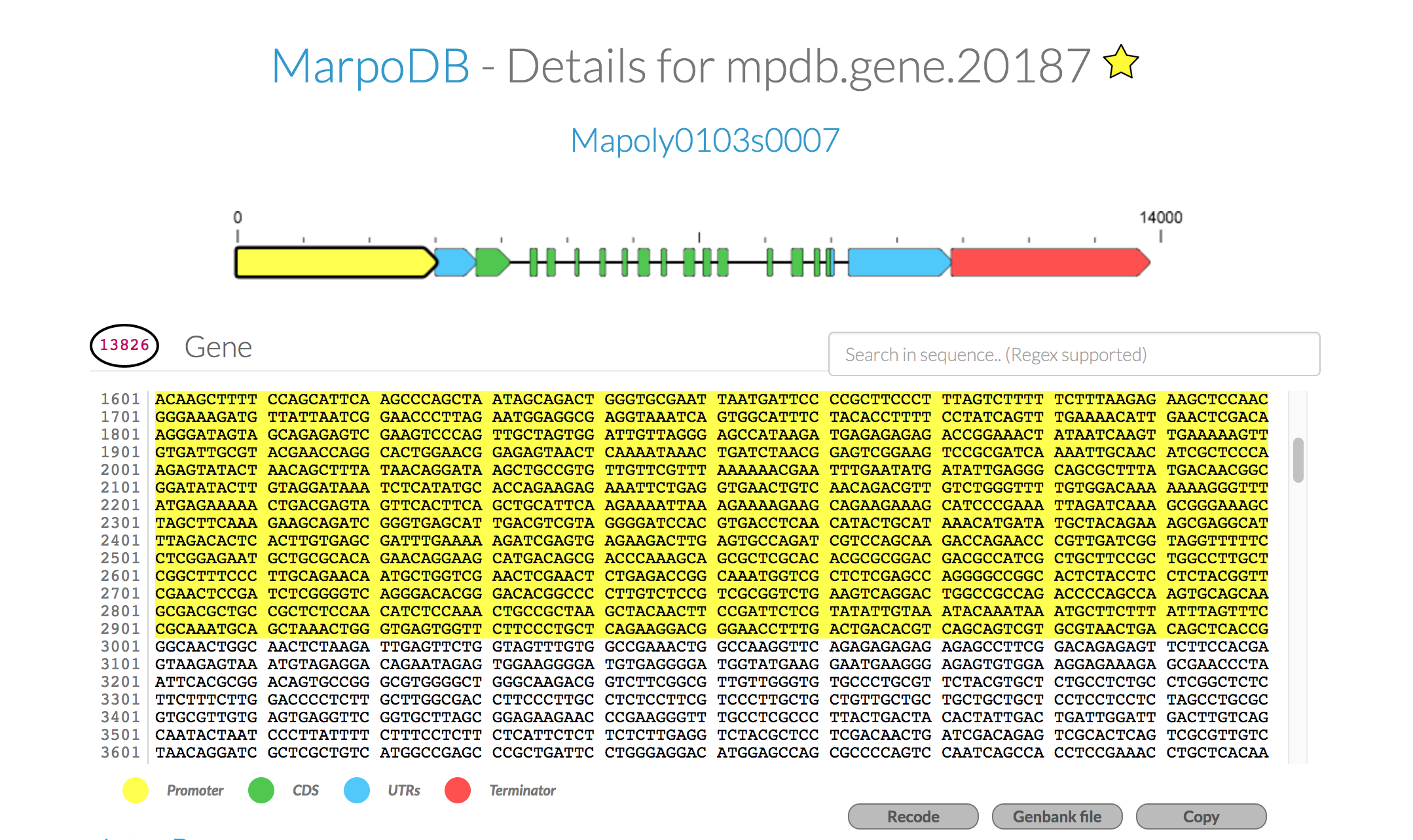 marpodb-EF1a.png