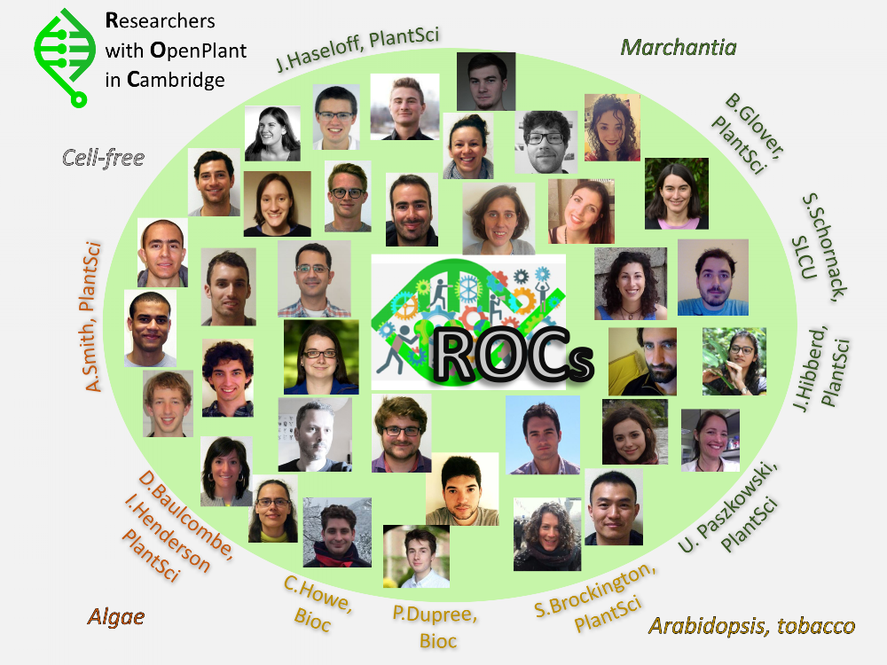 Meet the ROCs