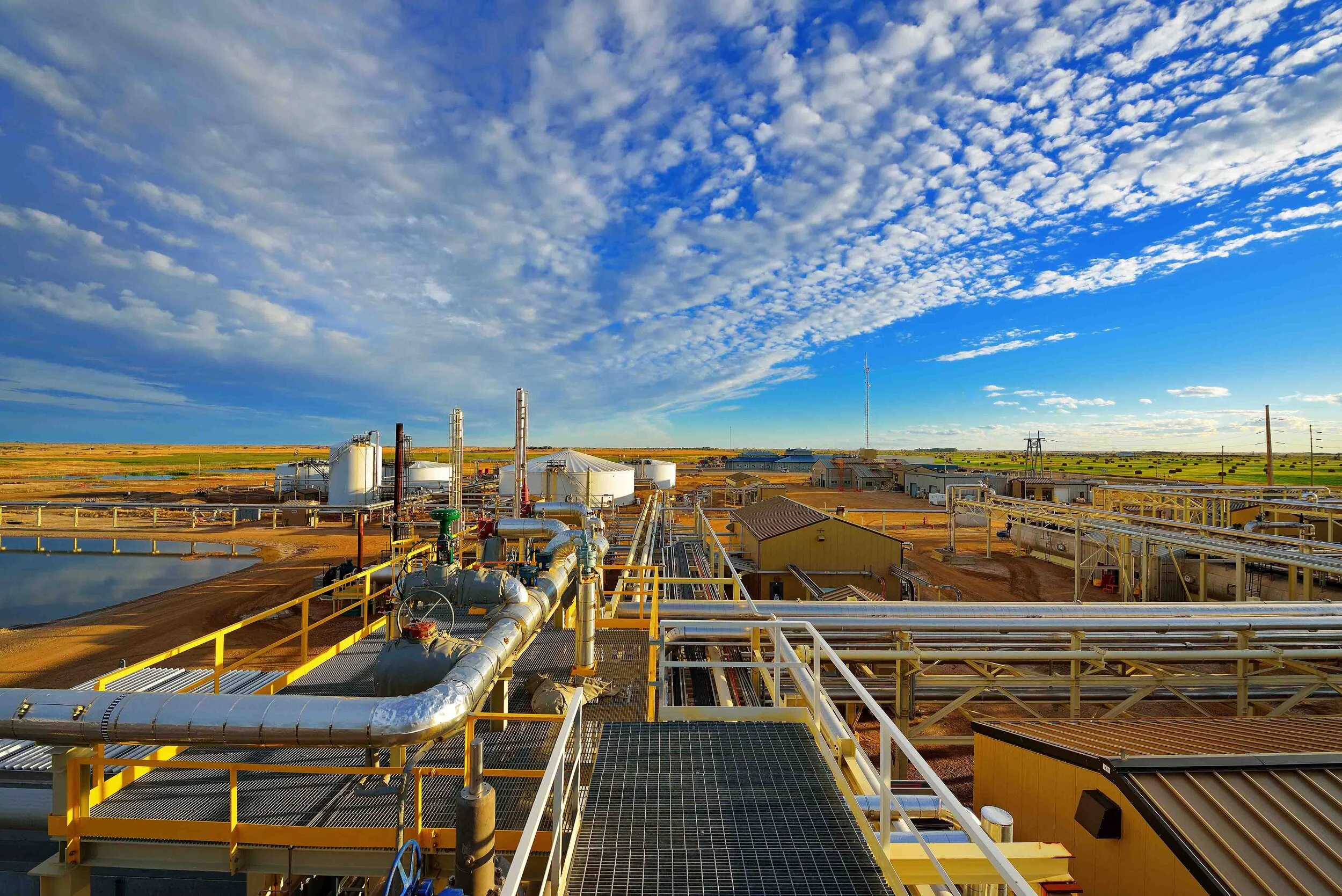 Whitecap — Hewlko Creative Direction + Design