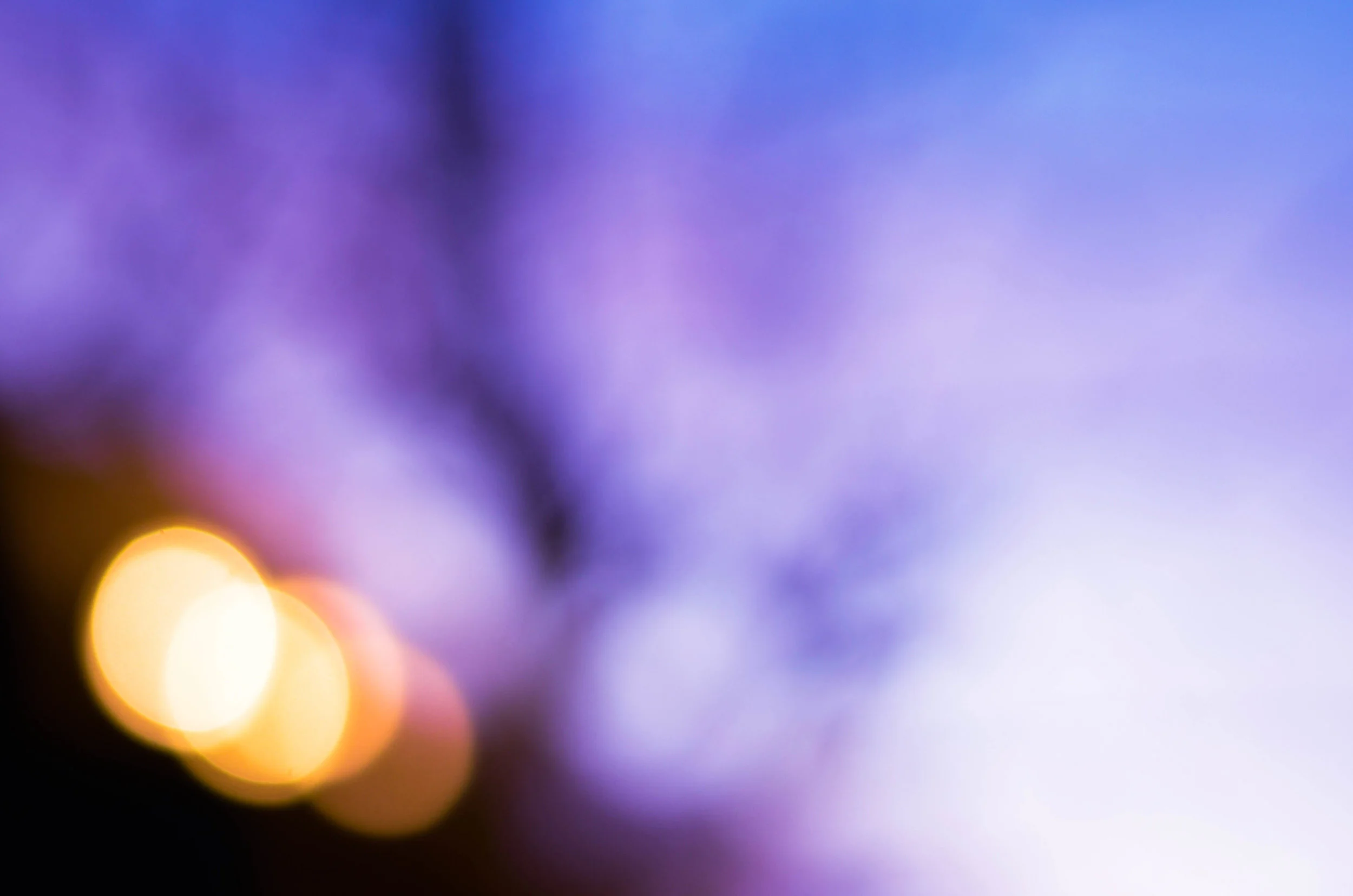 CSC_0139.jpg