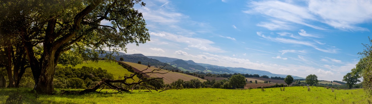 _DSC6015-Pano.jpeg