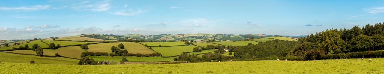 _DSC6114-Pano.jpeg