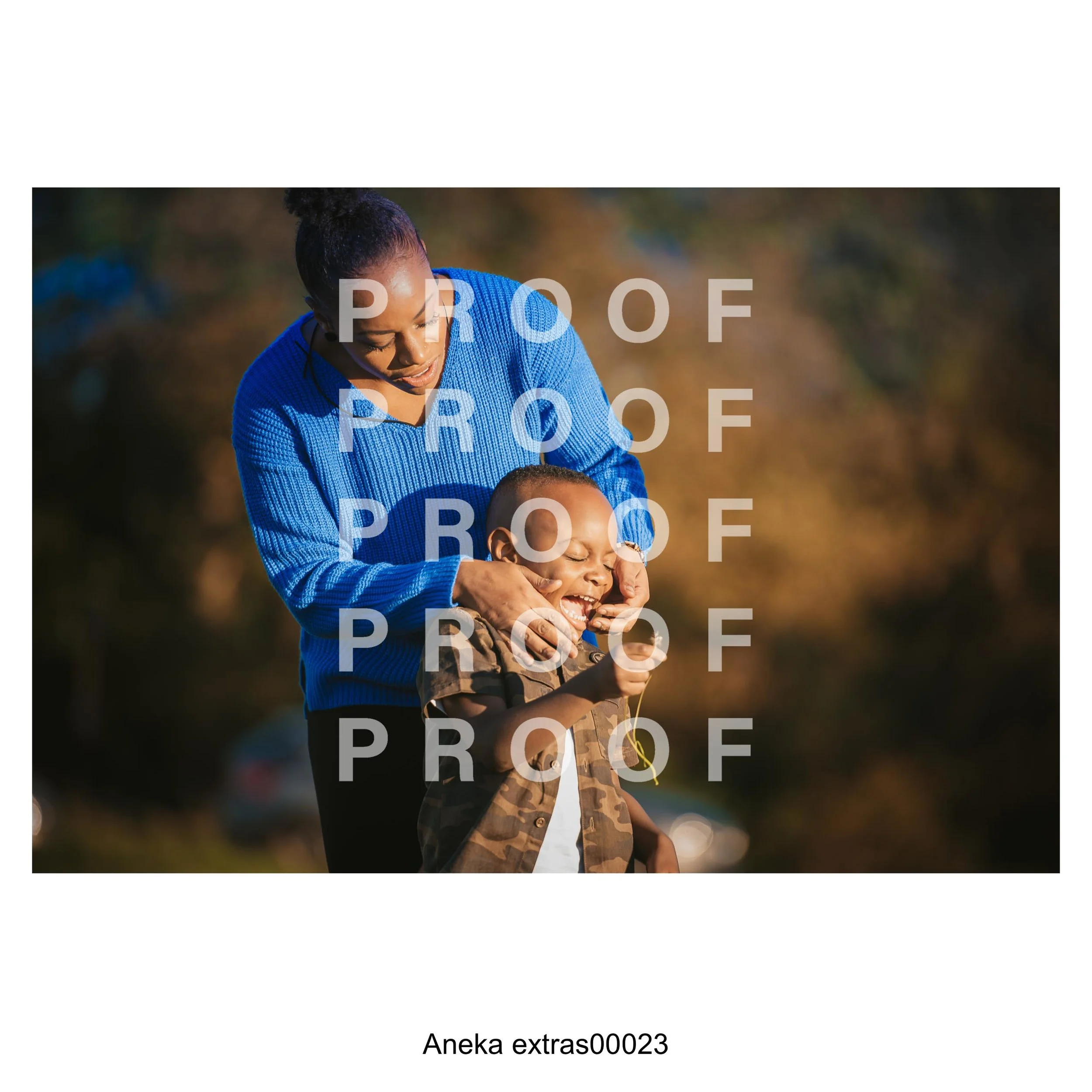 aneka-23.jpg