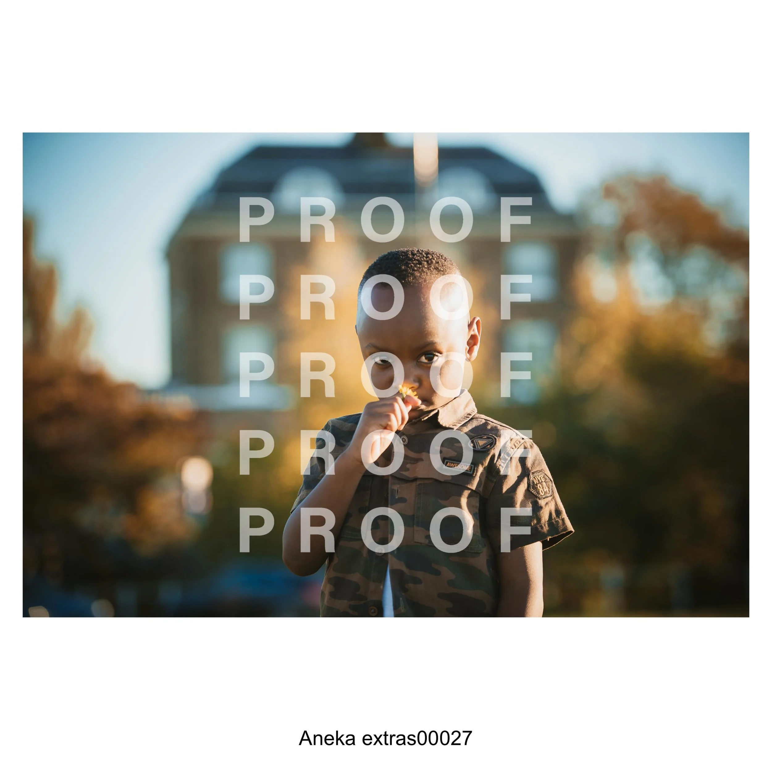 aneka-27.jpg