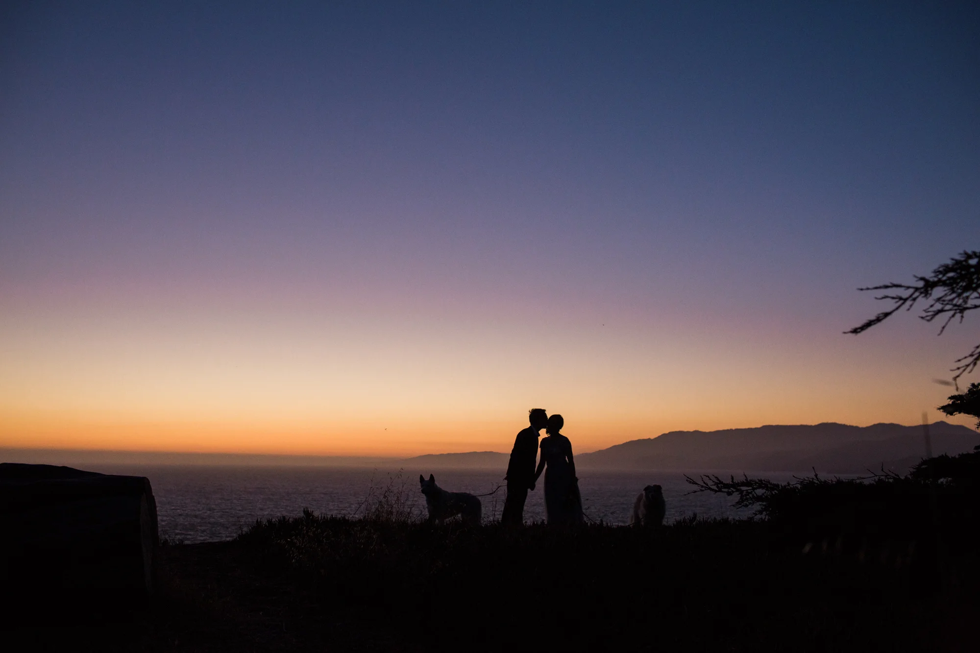 Katharine and Chris web-54.jpg