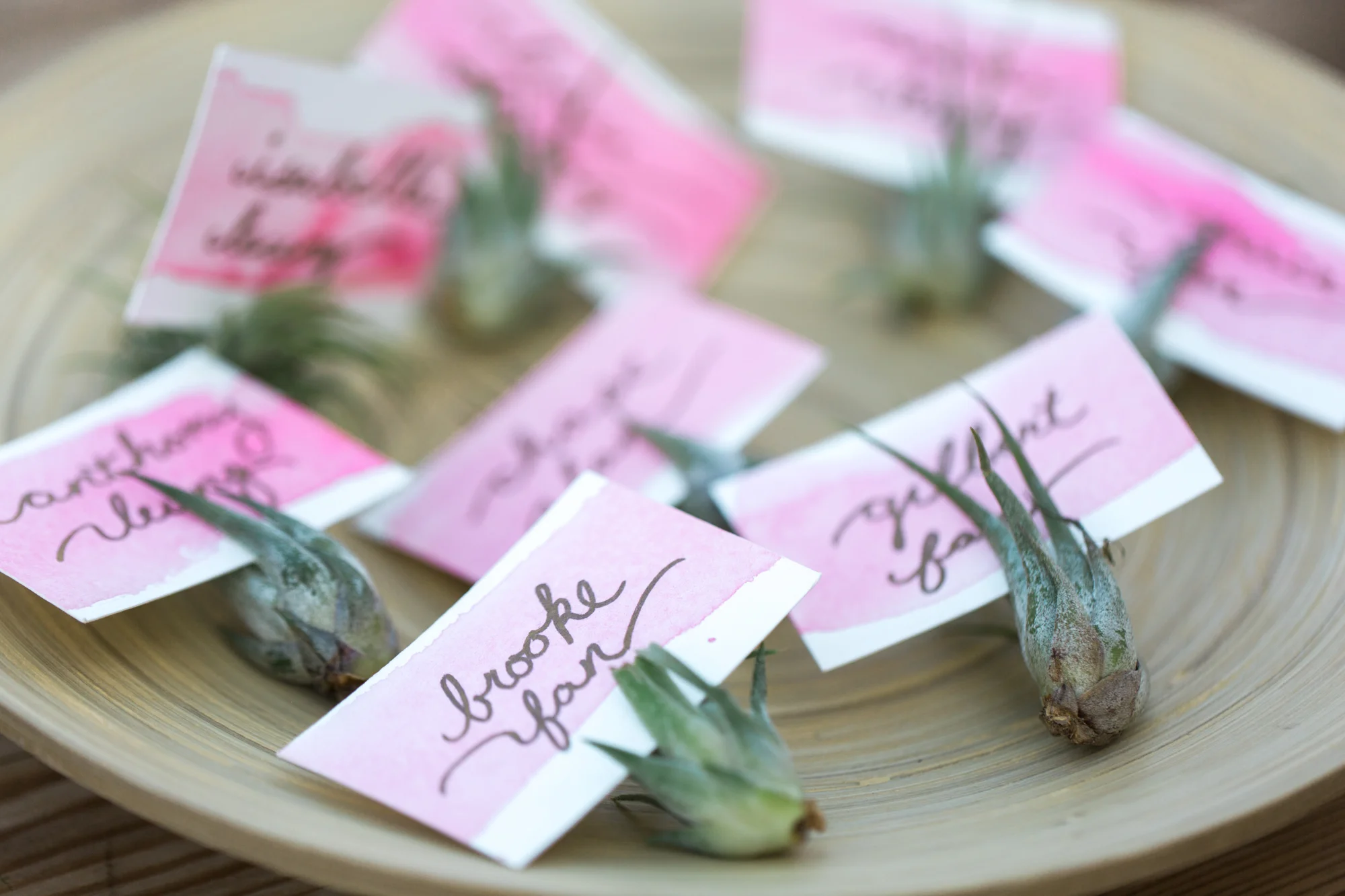 Katharine-Chris-Wedding-Blog-111.jpg