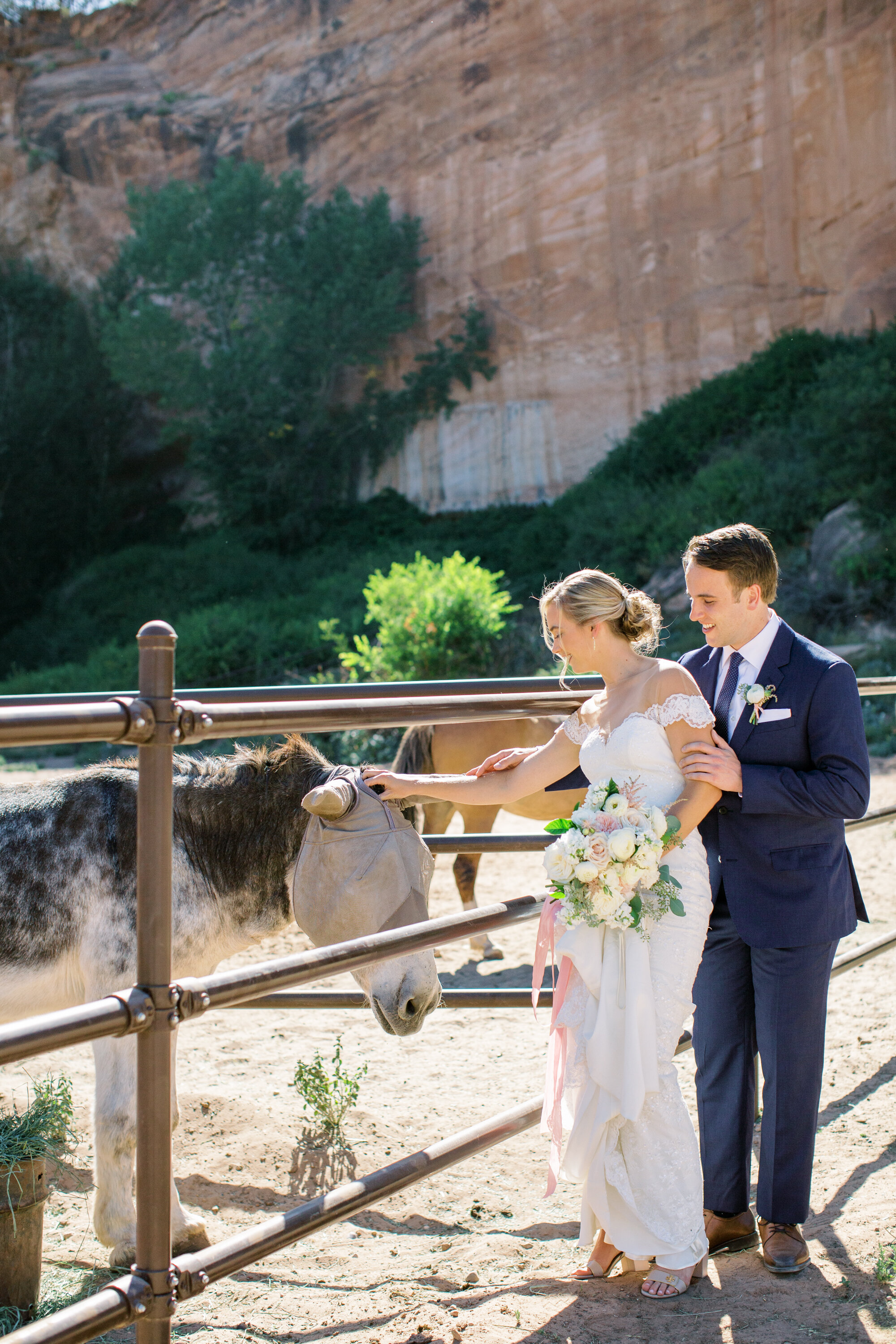 Southwest Wedding Under the Stars | Haley & Kevin at Best Friends Animal  Society in Kanab — M. Felt Photography Adventure & Elopement Wedding  Photographer | Southern Utah