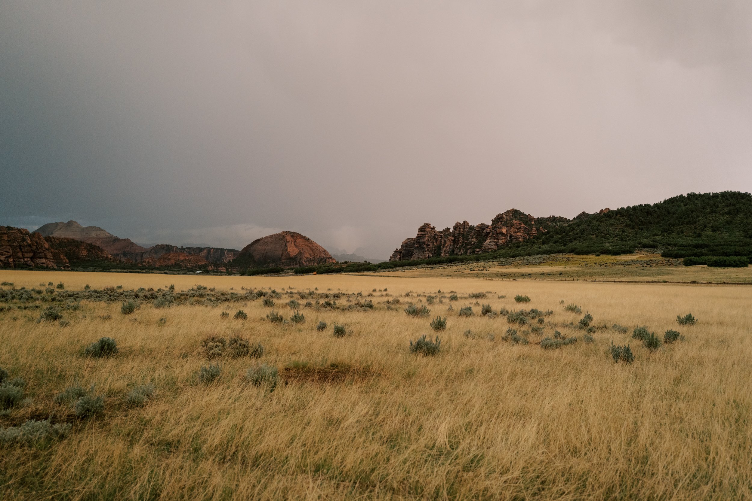 Zion-National-Park-Wedding-Lazalu-81.jpg