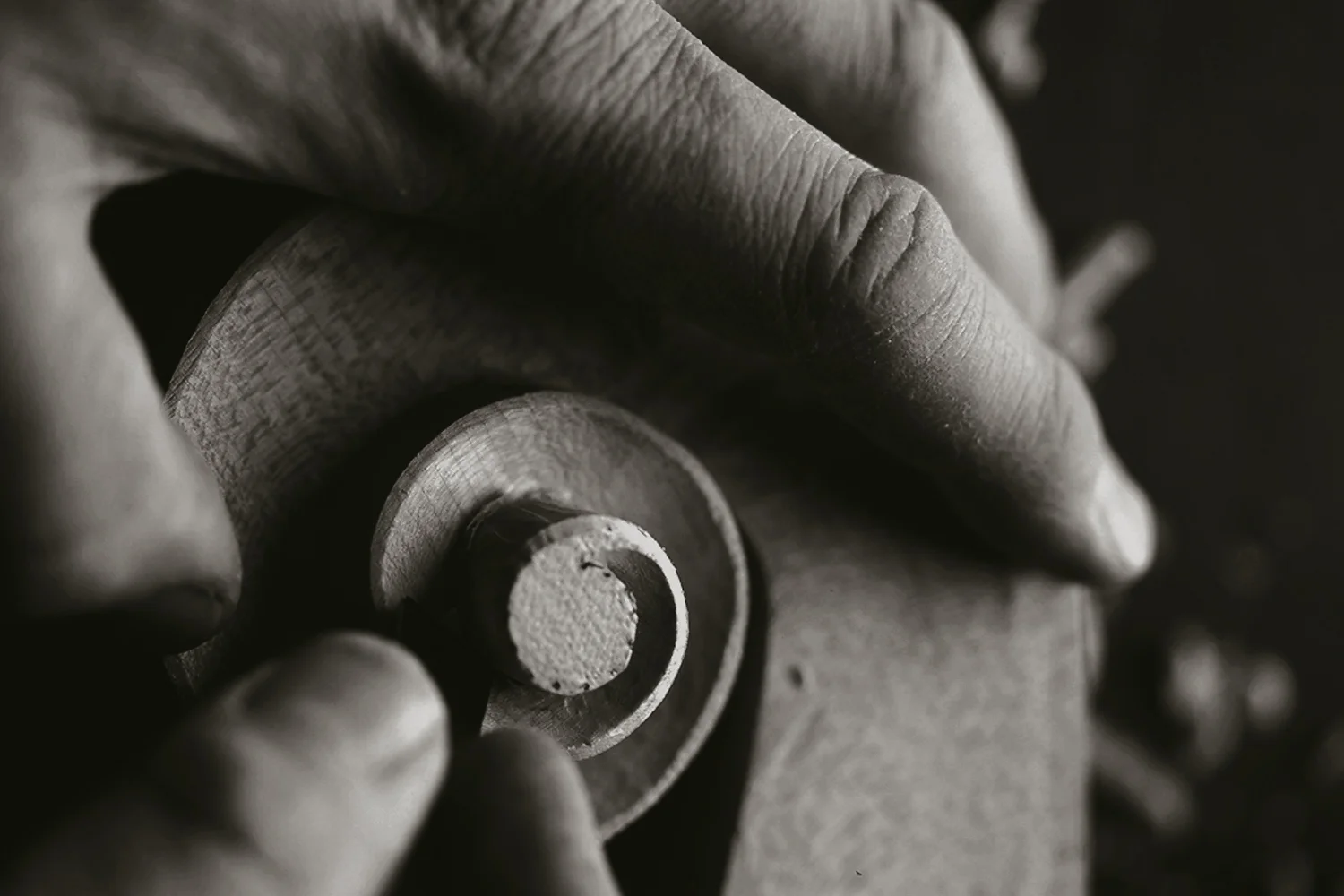 LANDSCAPE-HANDS CELLO SCROLL.jpg