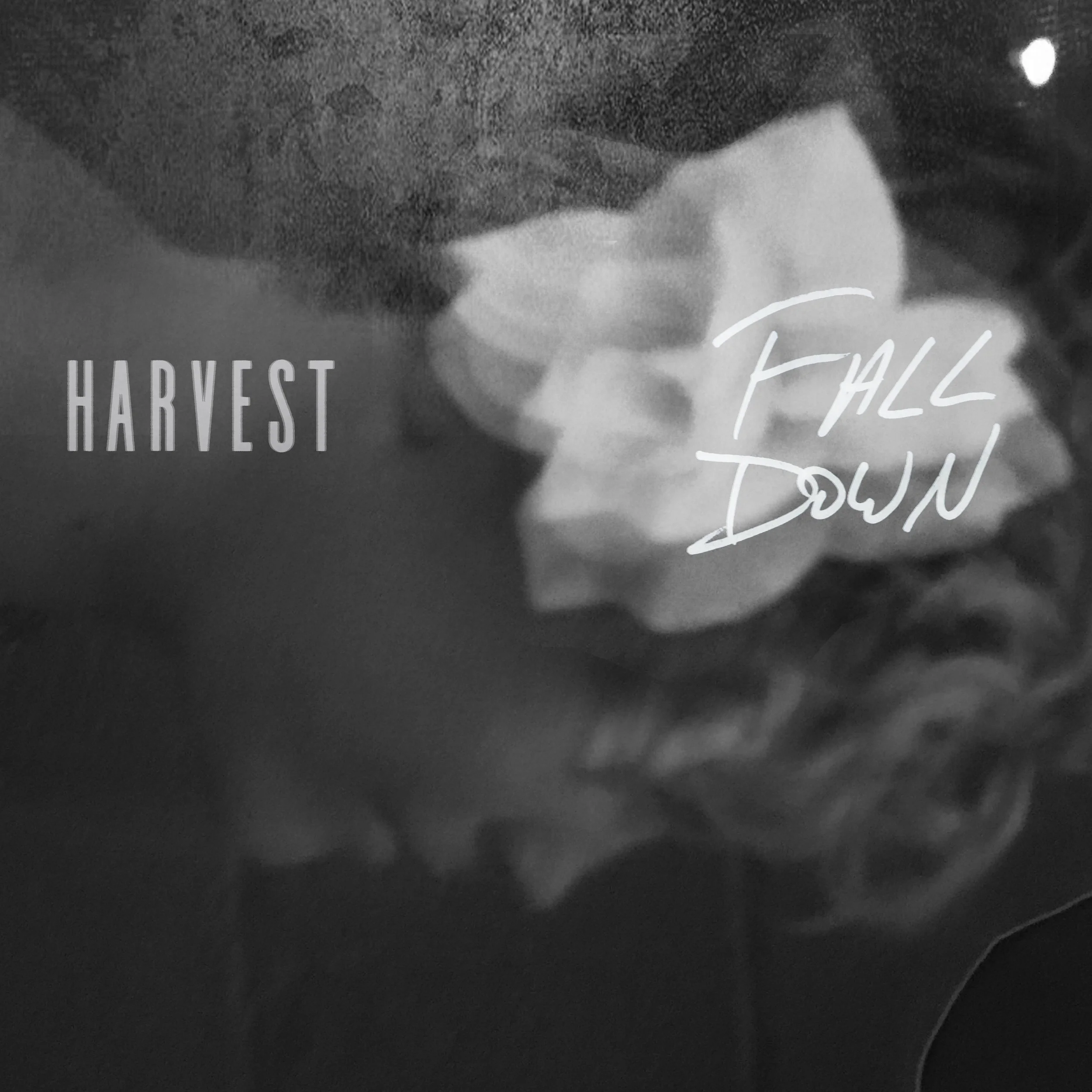 FALL DOWN by HARVEST