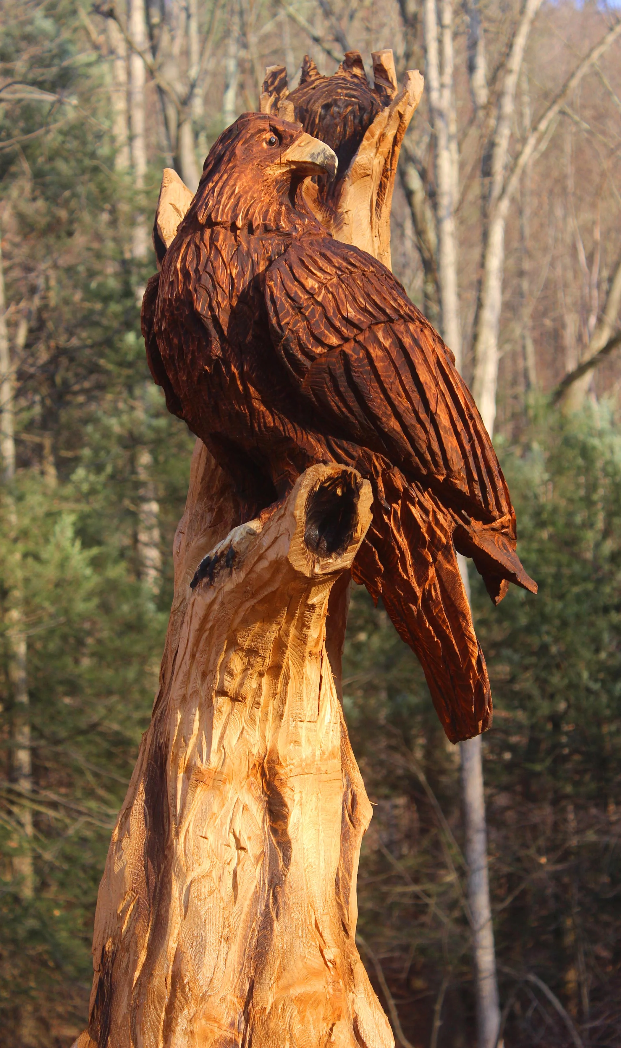 Stump Job.jpg