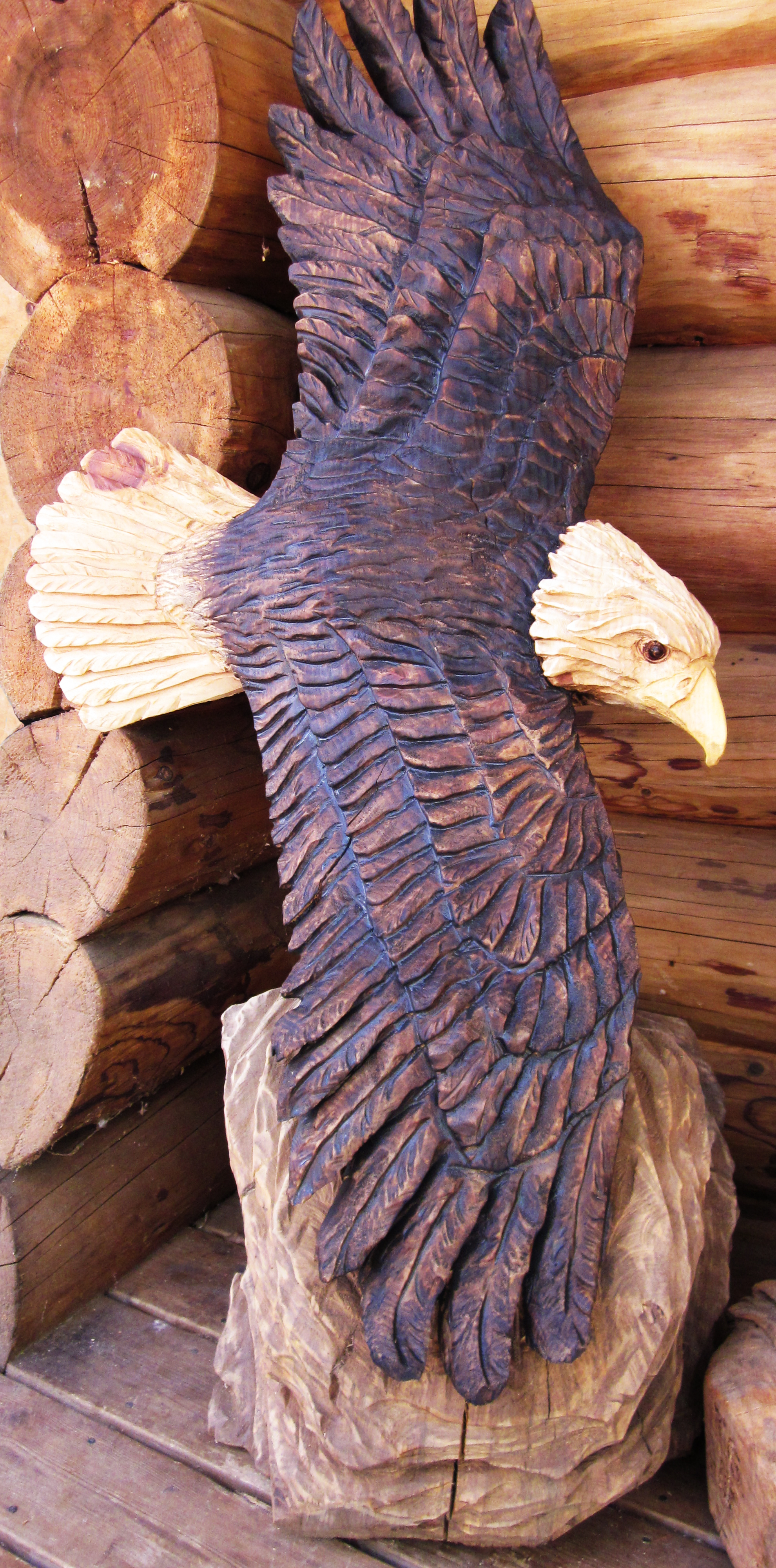 Eagle Flying.jpg