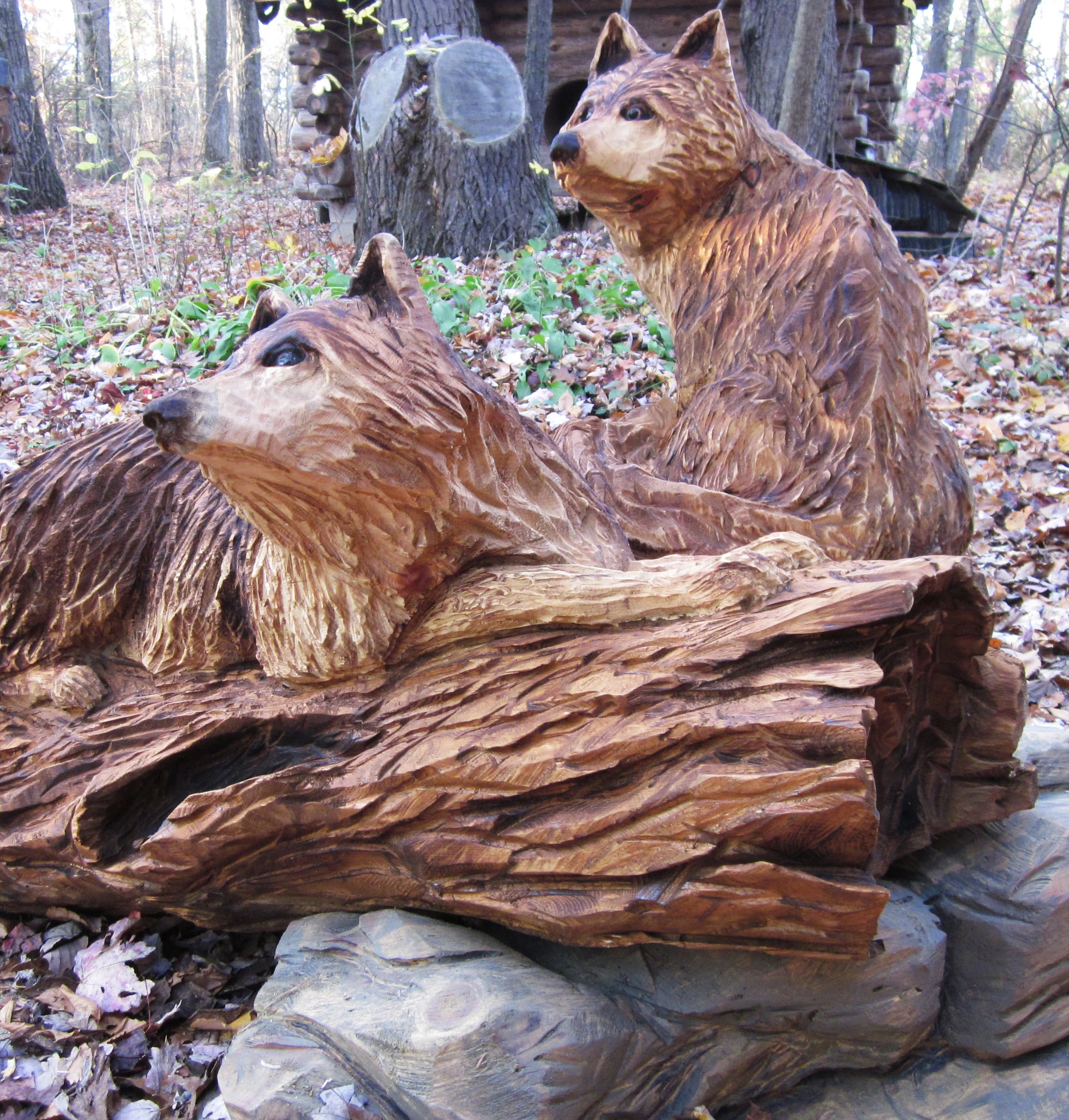 Foxes.jpg