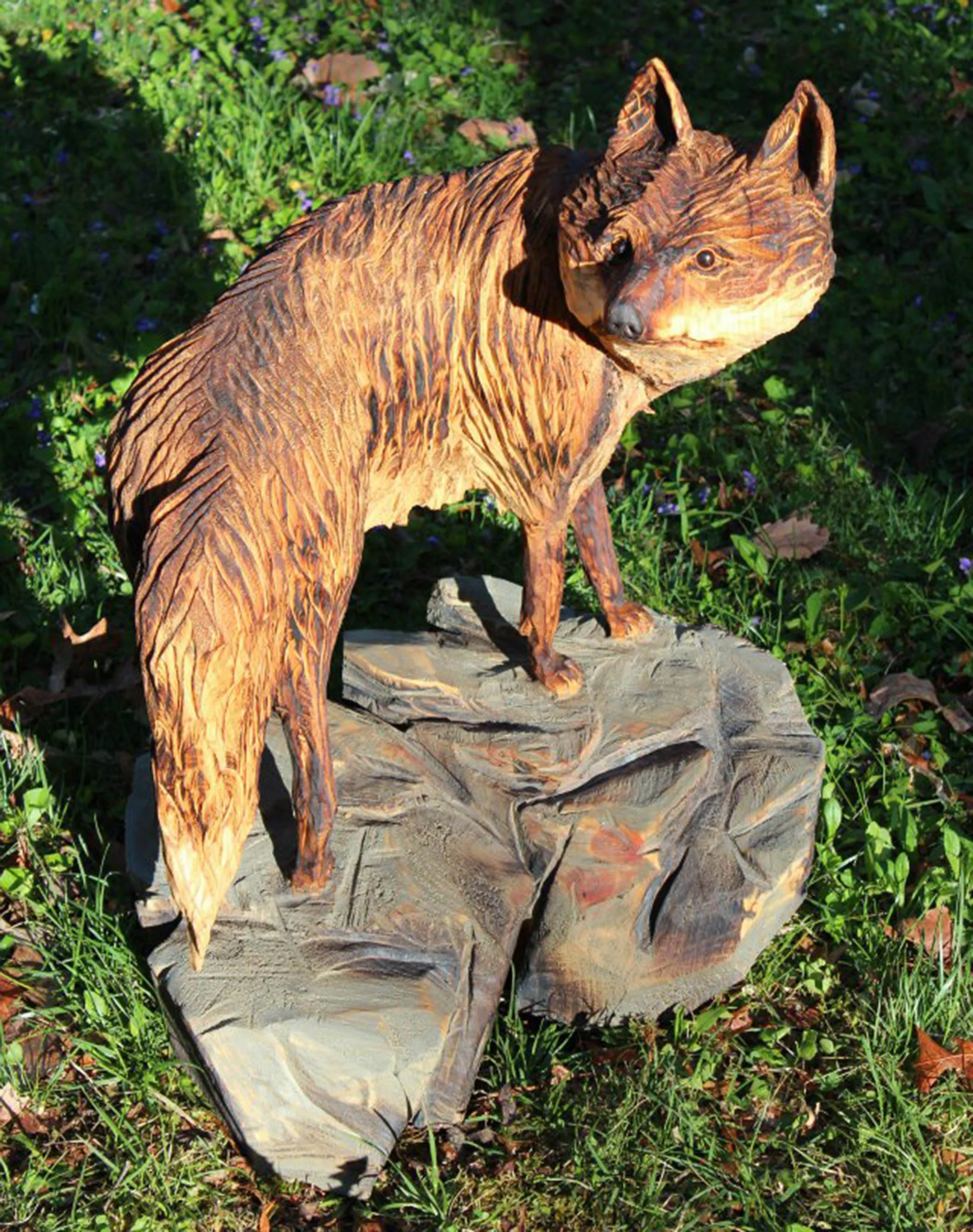Fox Shadow.jpg