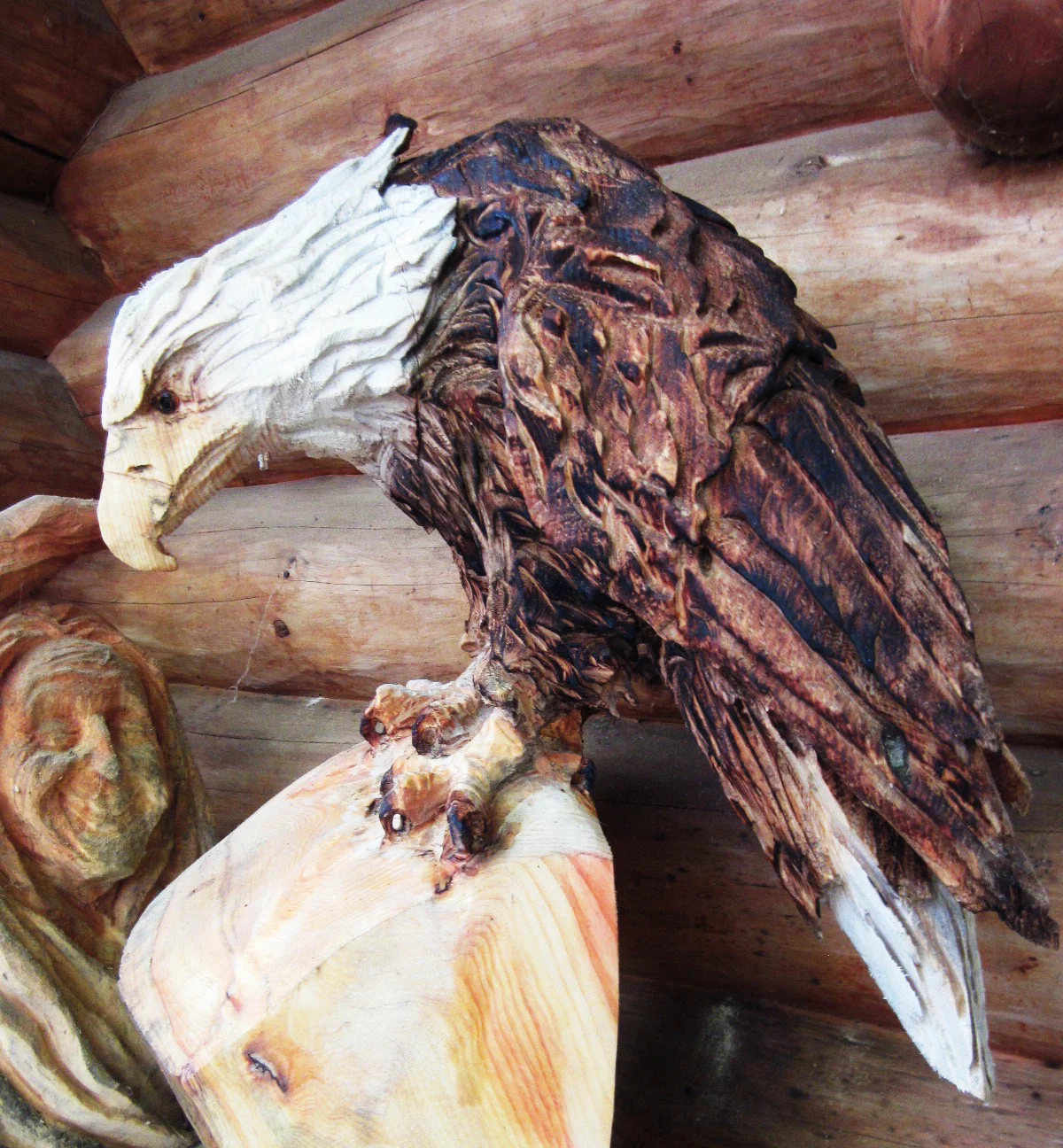 Perched Eagle.jpg