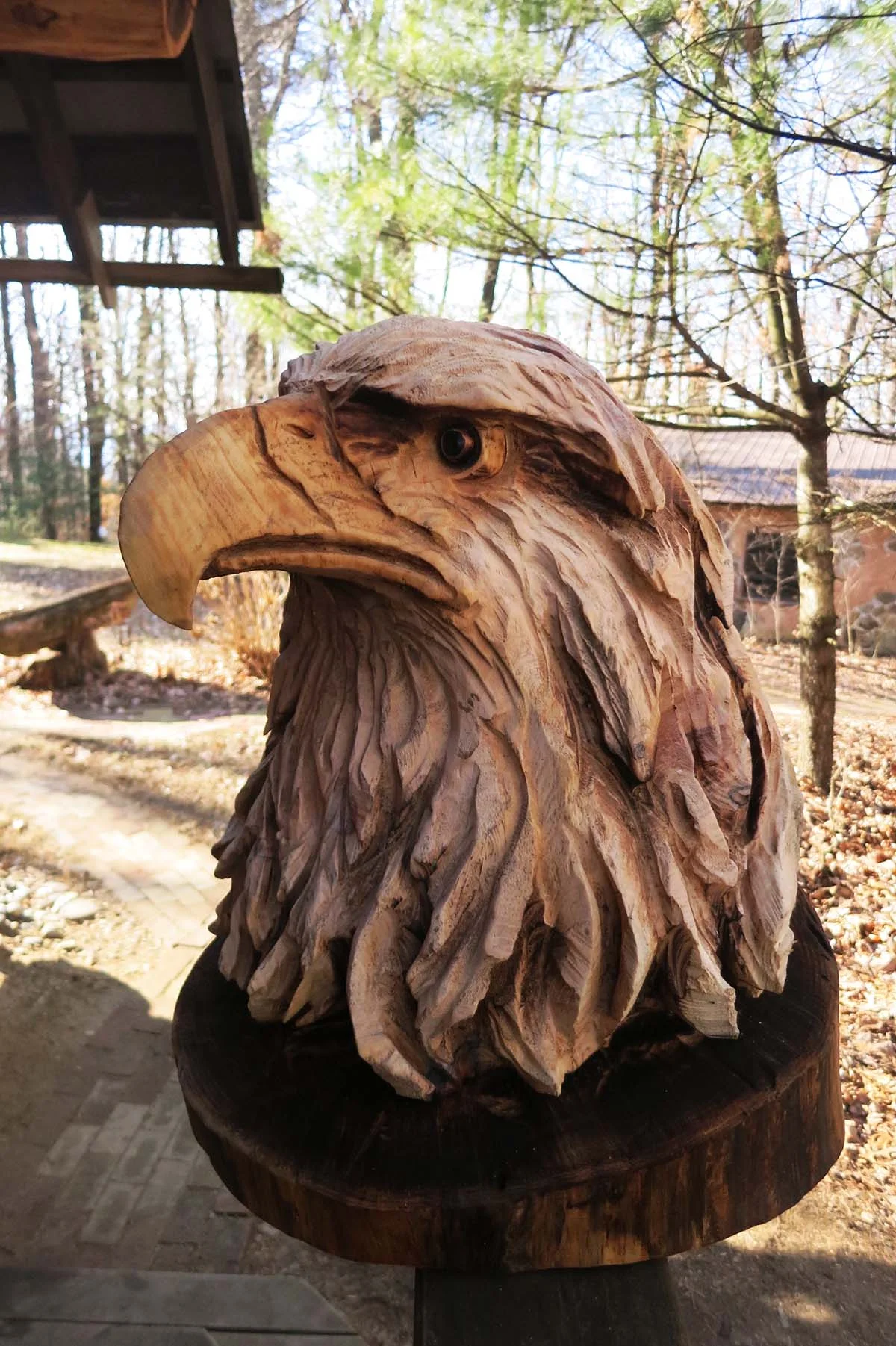 Eagle Head.jpg