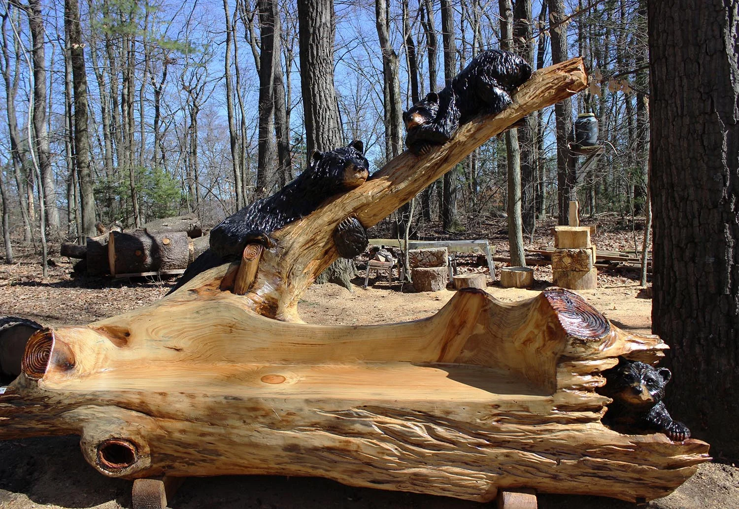Bear Bench.jpg