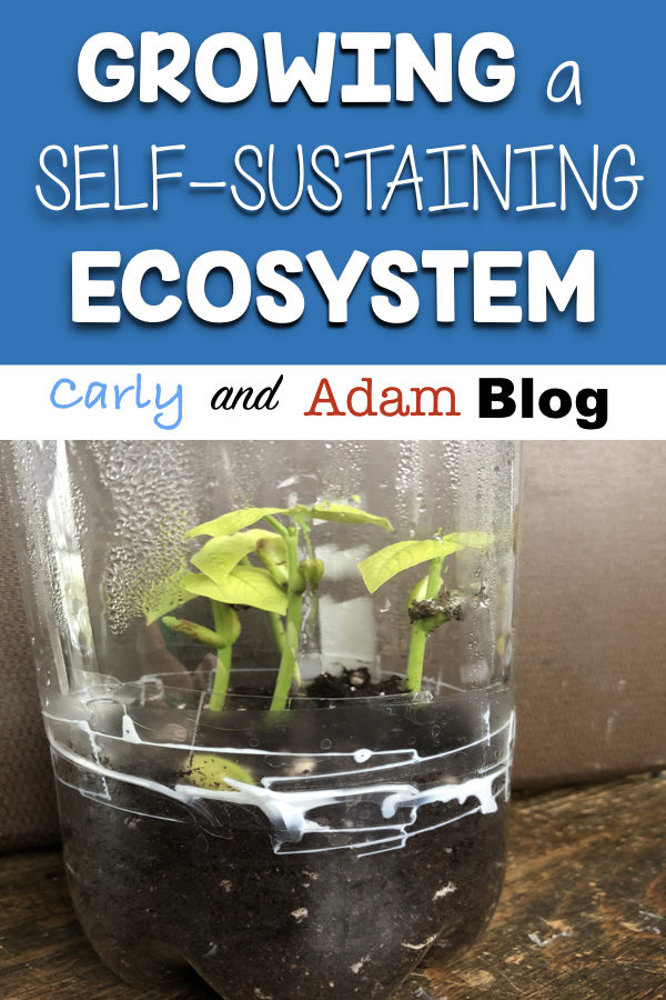 Self Sustaining Ecosphere