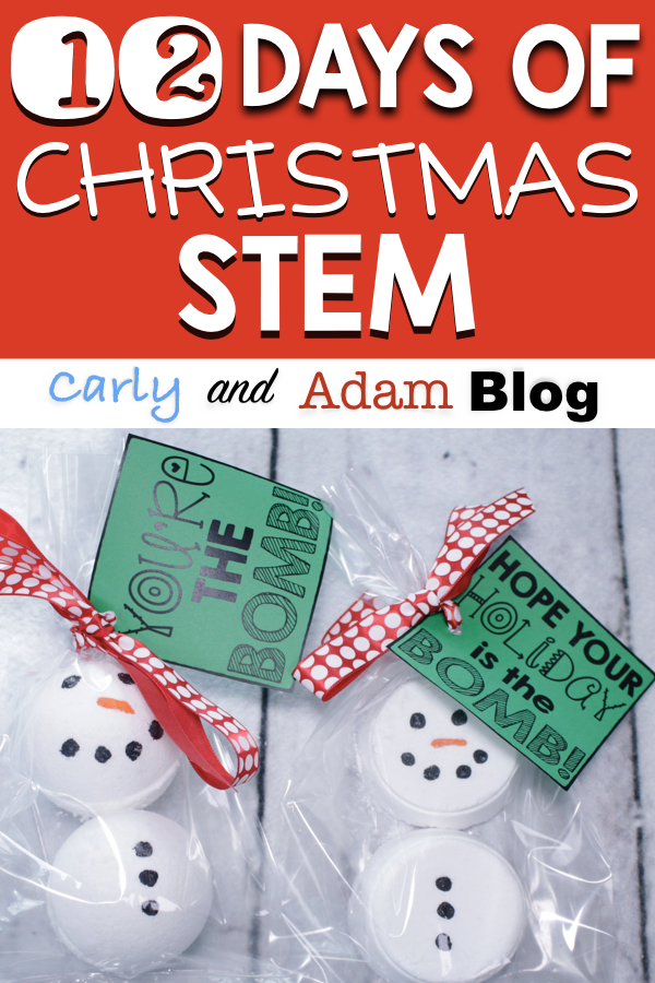 Christmas — Carly And Adam Stem Teachers Blog — Carly And Adam