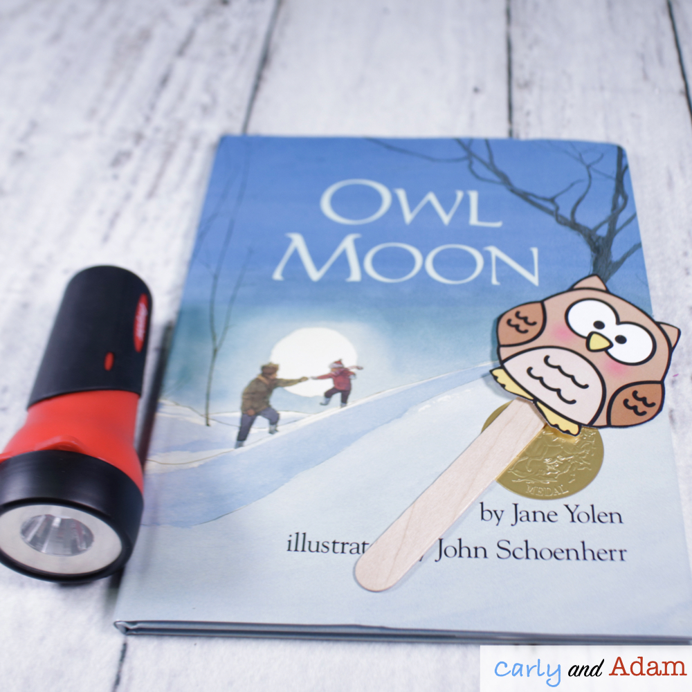 Owl Moon Light and Shadows STEM Activity
