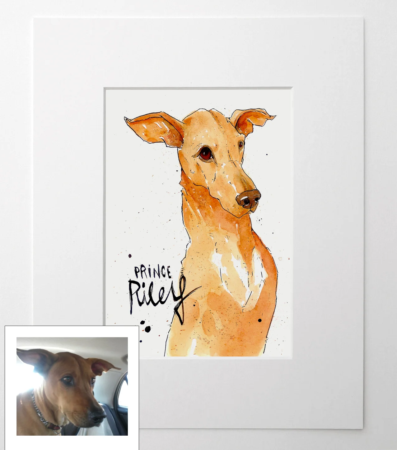 petportrait_RUBYROTH1.jpg