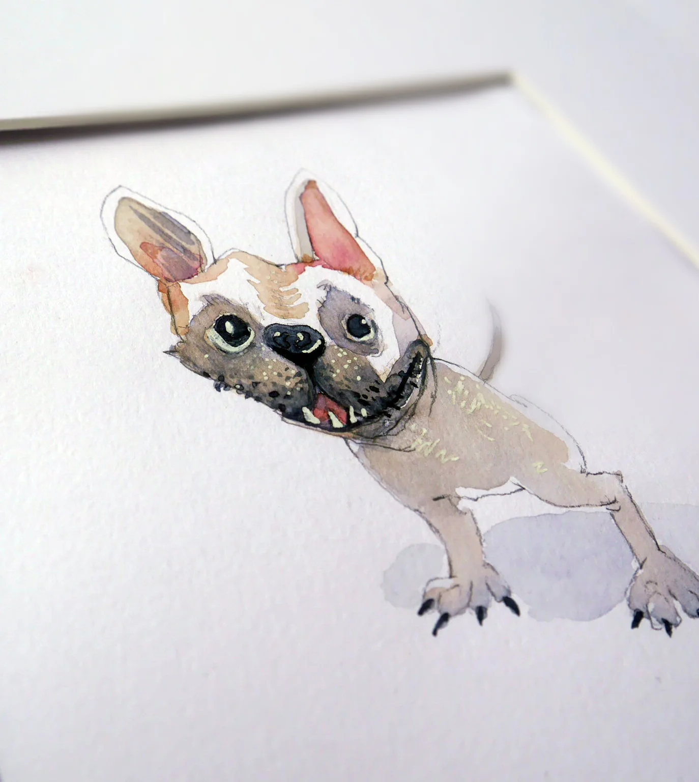petportrait_RUBYROTH5.jpg