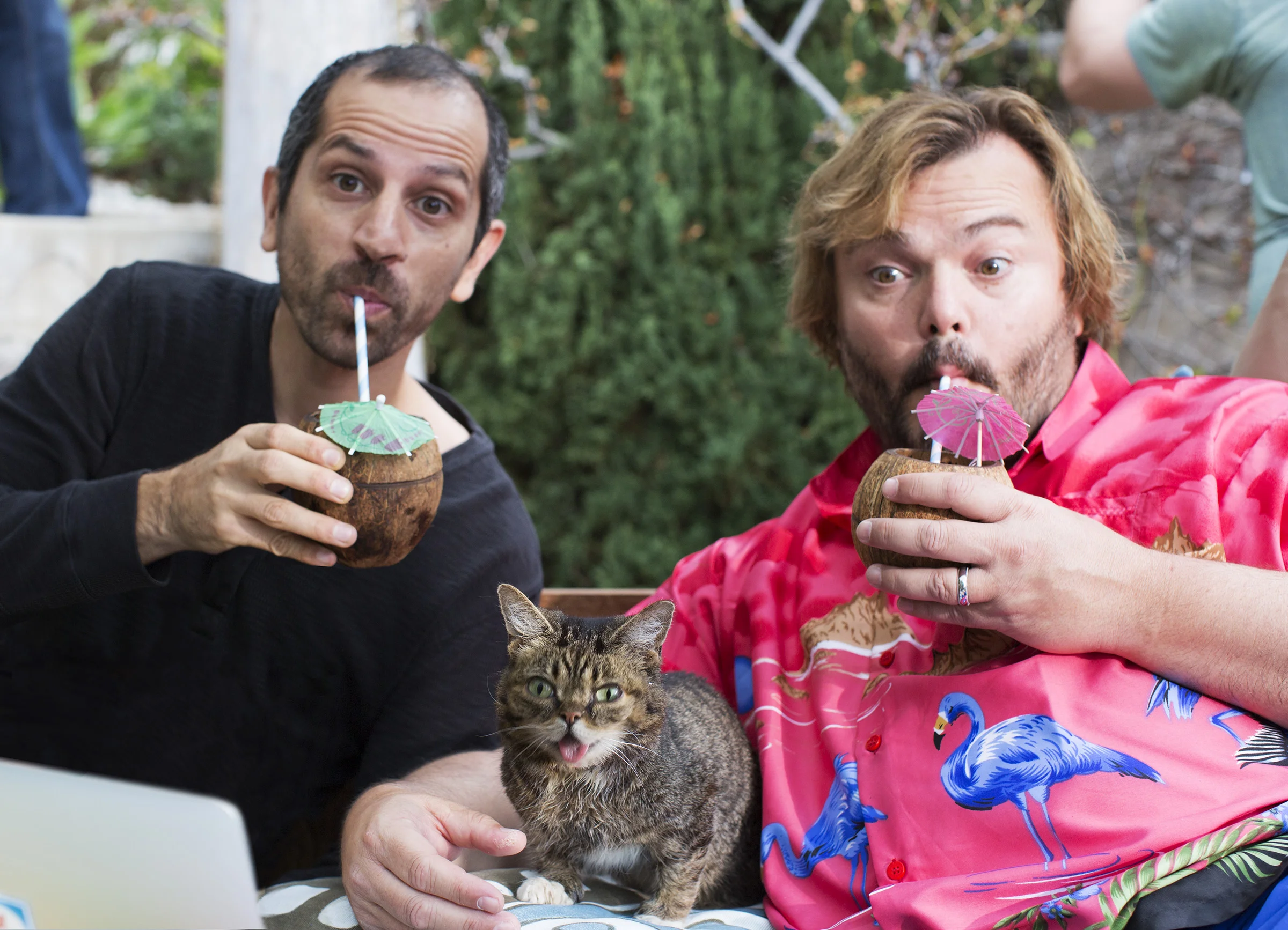 Writer/Director Nirvan on set of COP22 Video with Jack Black and Lil Bub.