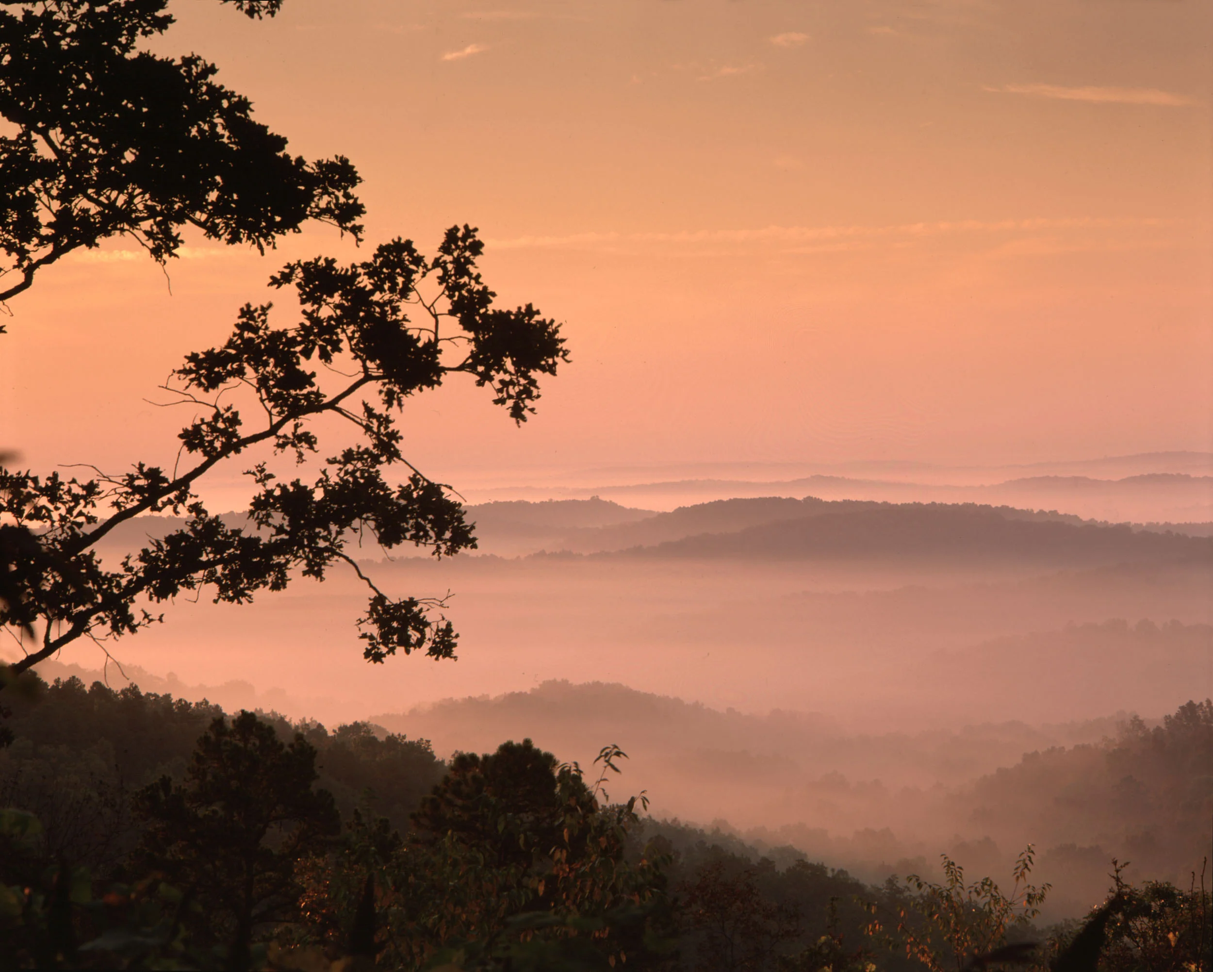 CanyMountainOzarkCountyLR.jpg