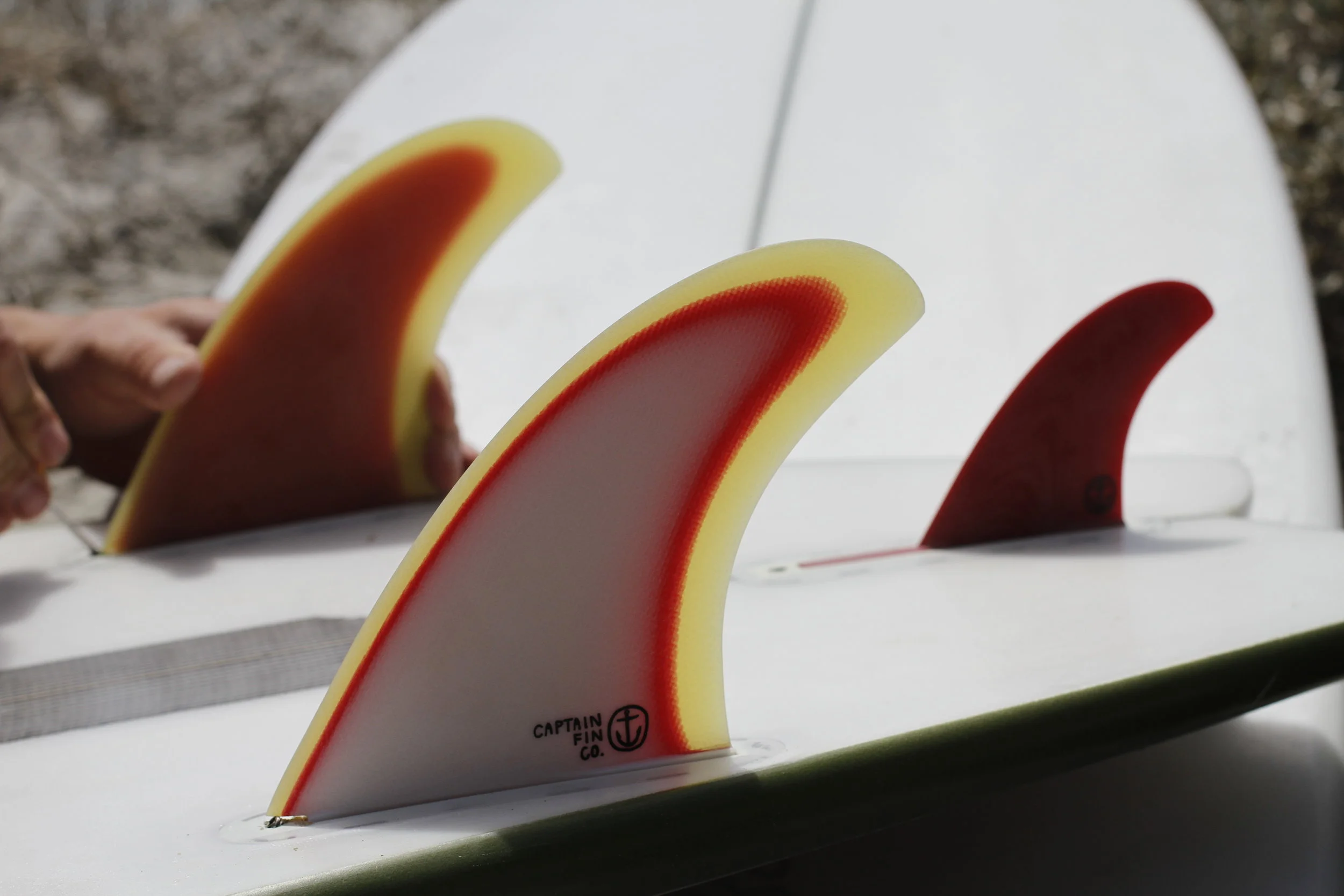 CF TANNER G. TWIN ESPECIAL