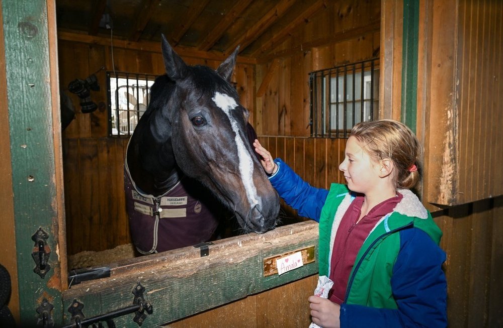 Photos & Videos — Women's Rights Information Center