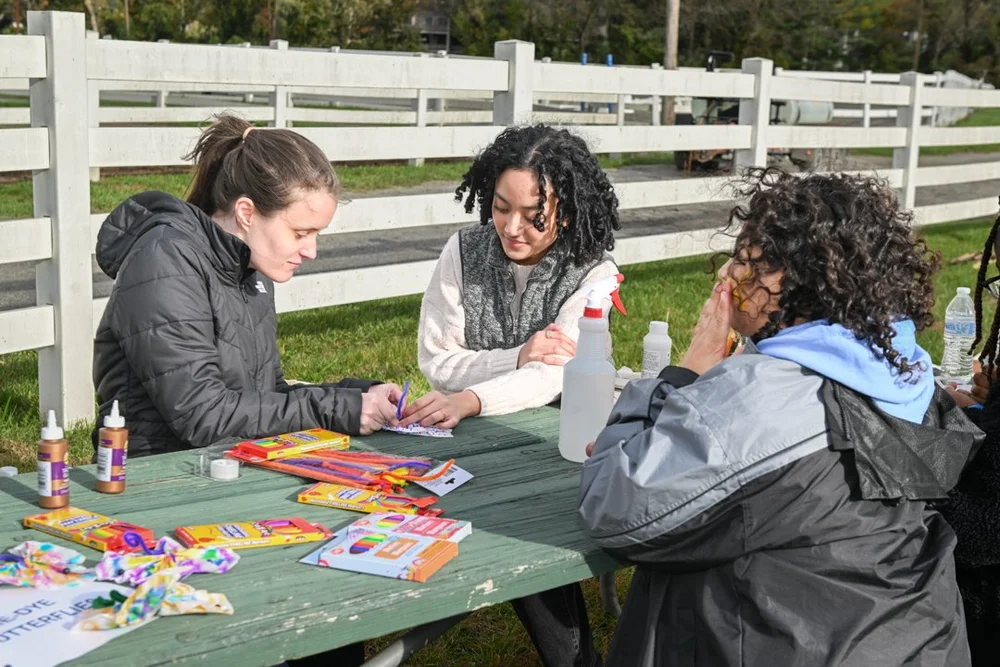 Photos & Videos — Women's Rights Information Center