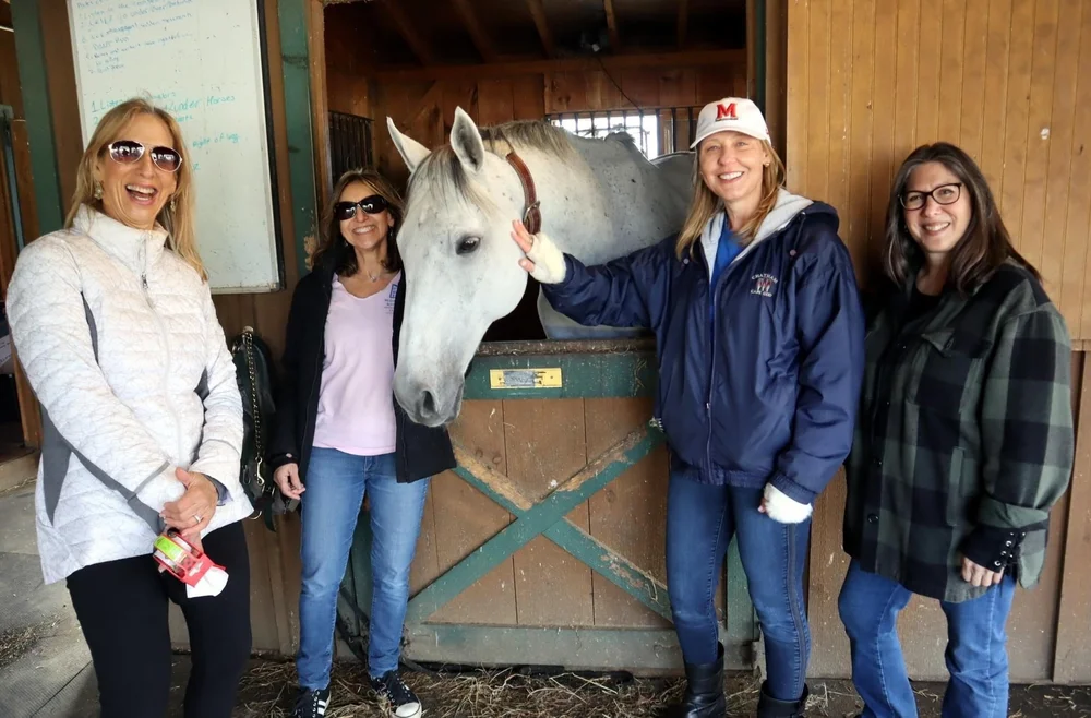 Photos & Videos — Women's Rights Information Center