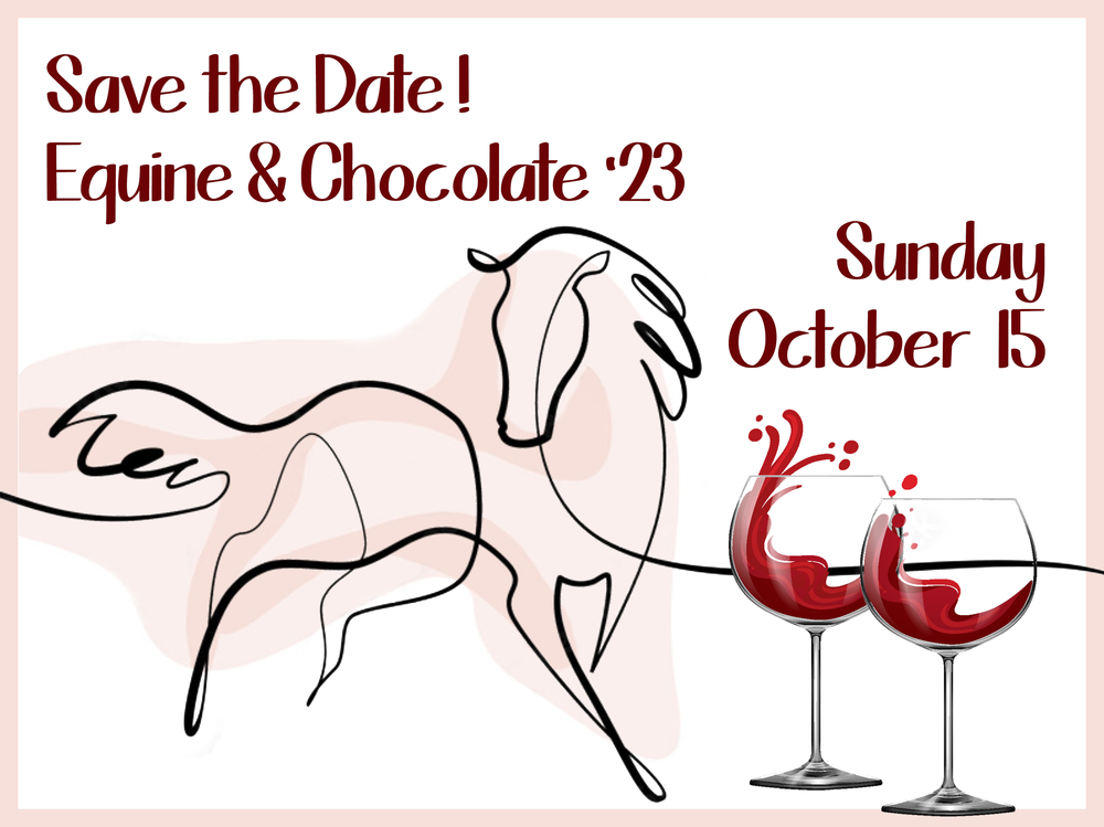 Women's Rights Information Center