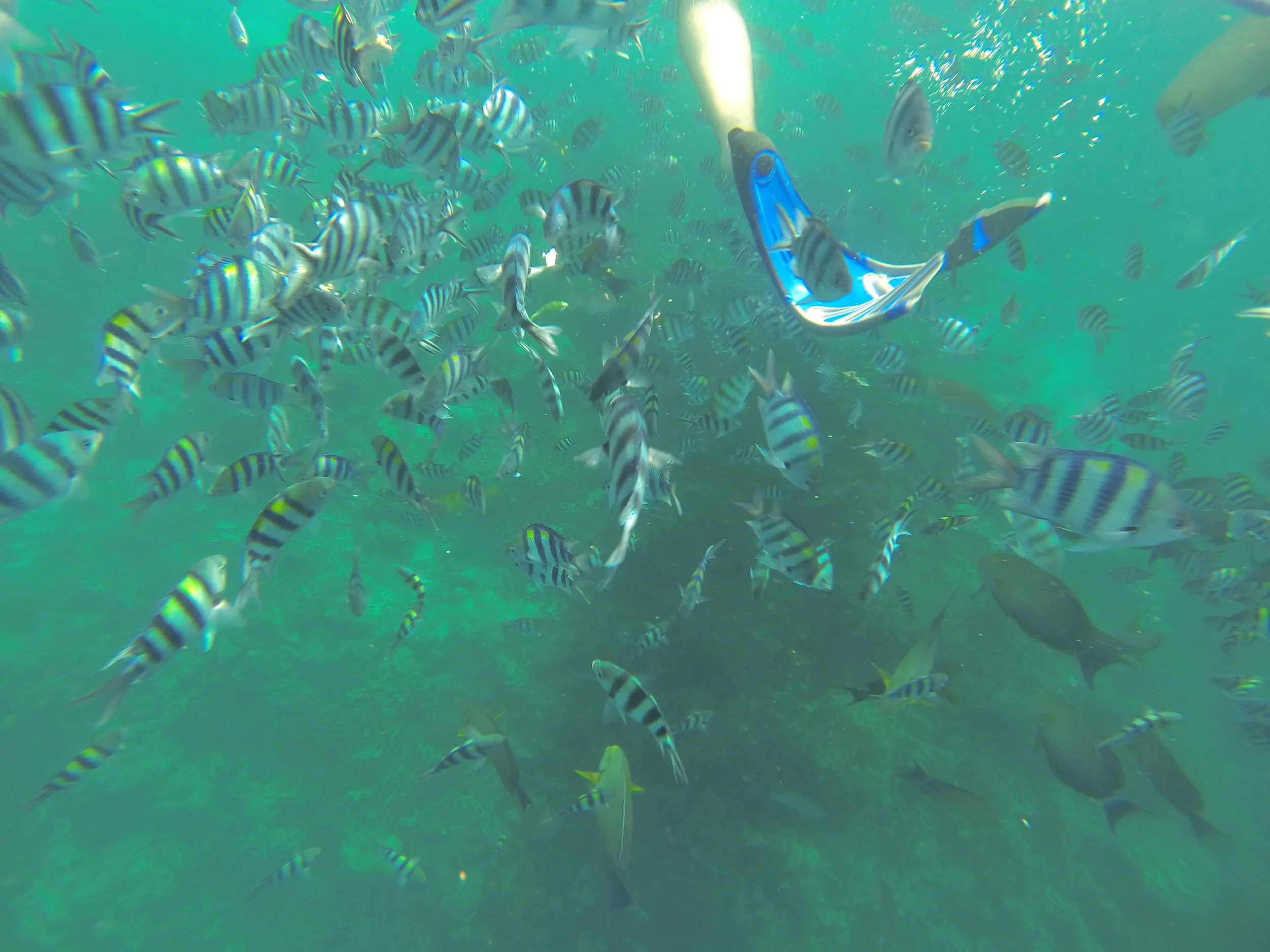 GOPR3067.JPG