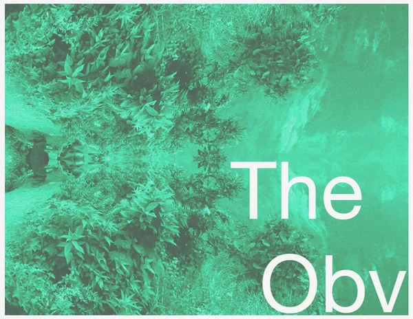 obv-earth-post.jpg