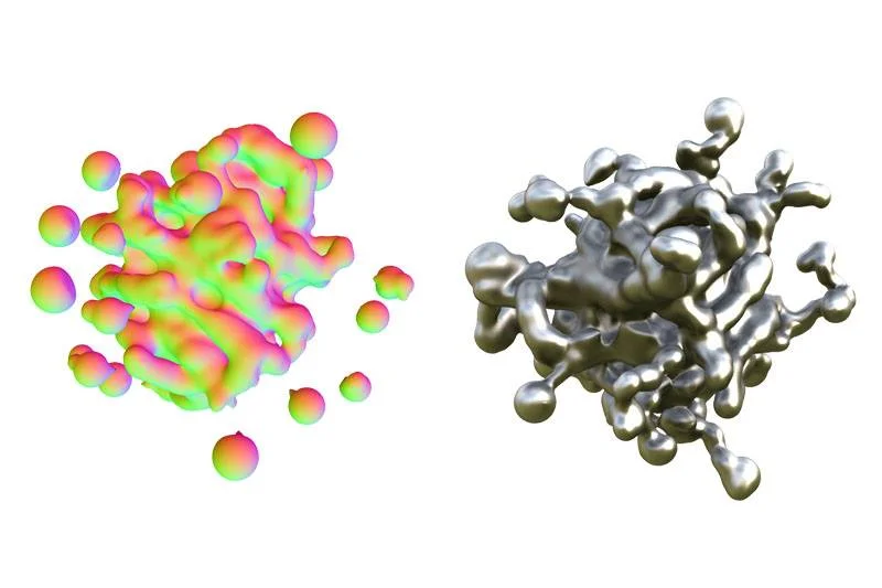 29790401_10157302559604829_6228677765447712665_n.jpg