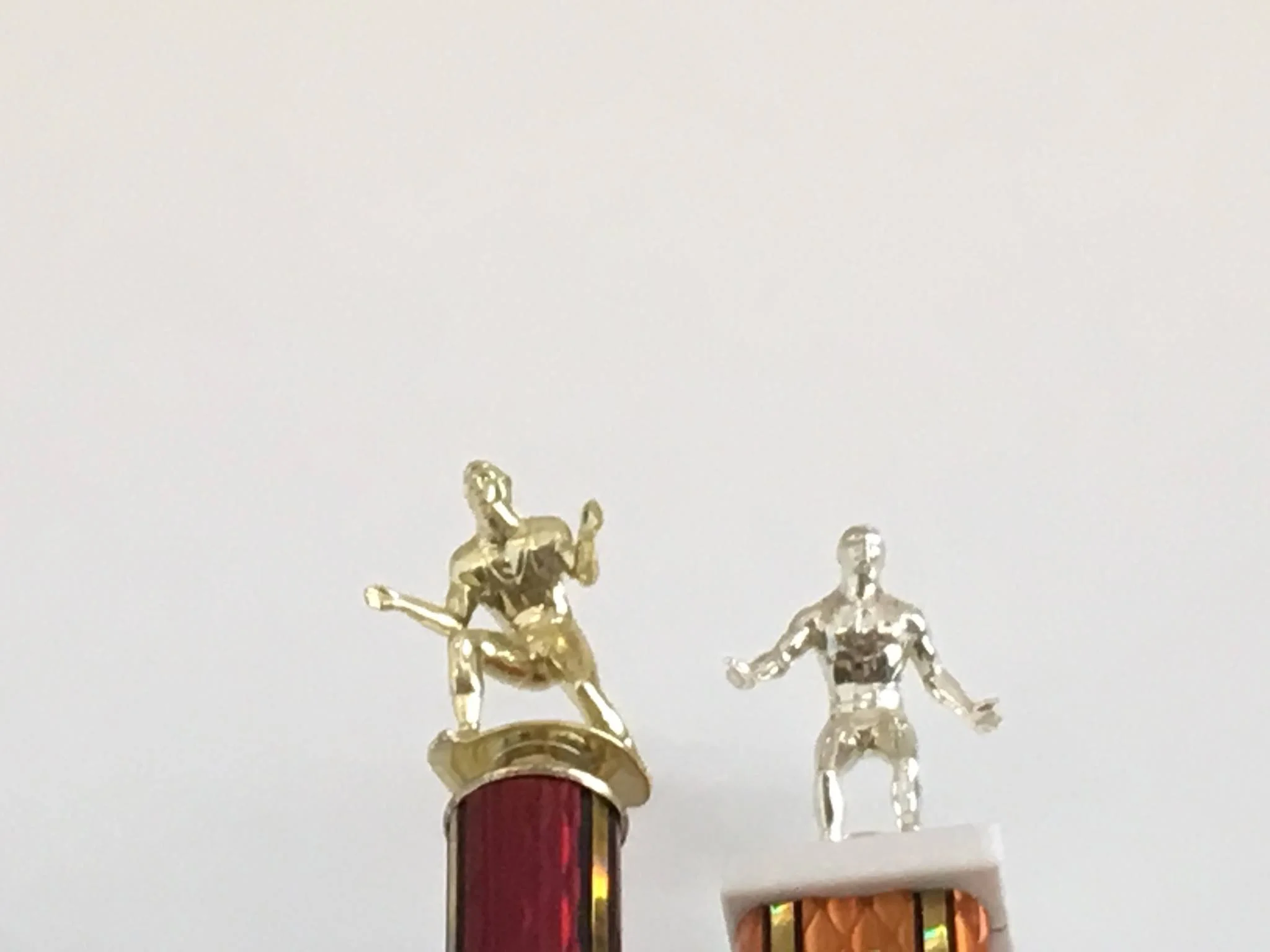 30052284_878718198999458_96283031938032286_o.jpg